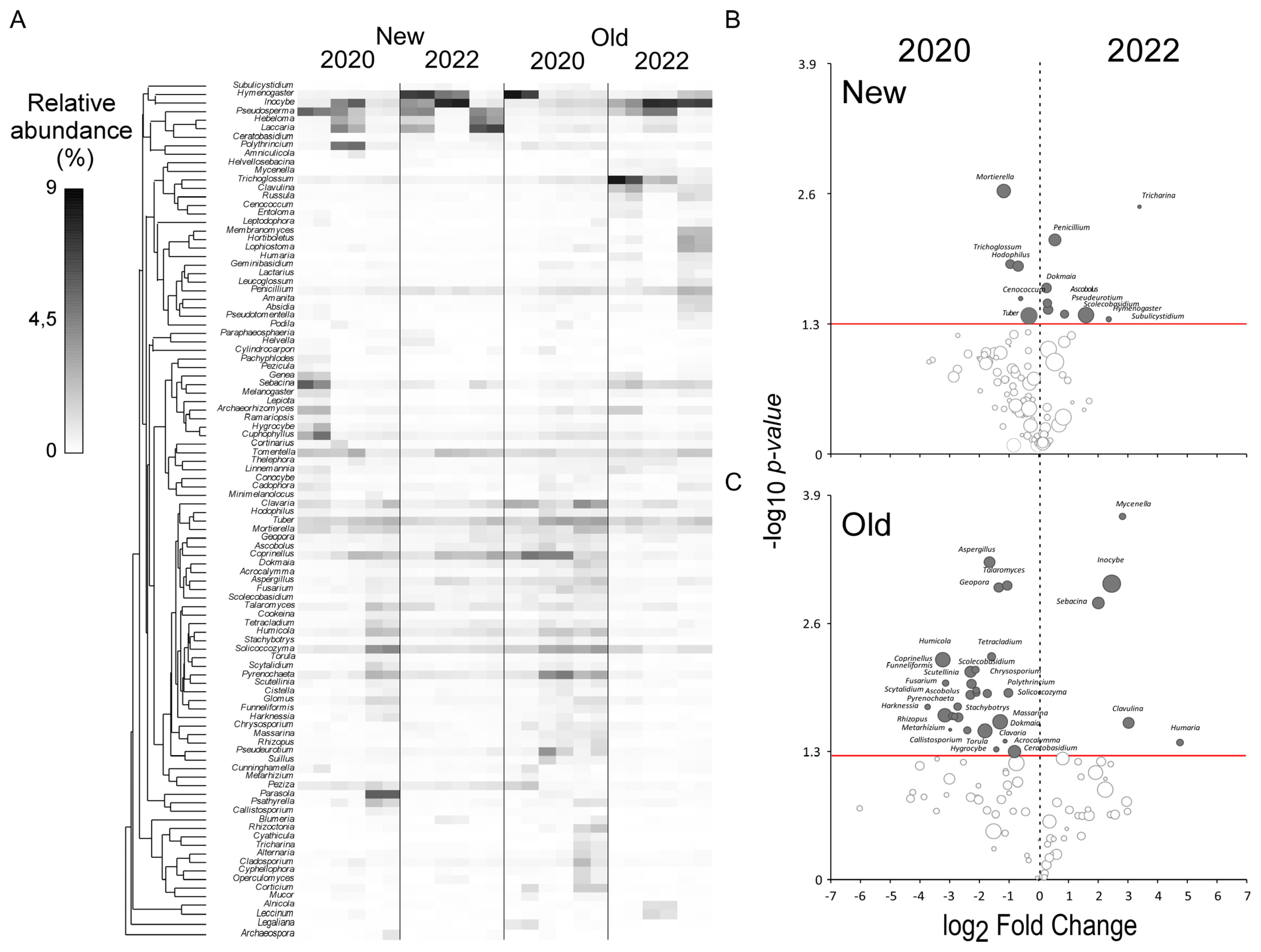 Jof 10 00800 g005 Jof 10 00800 g005