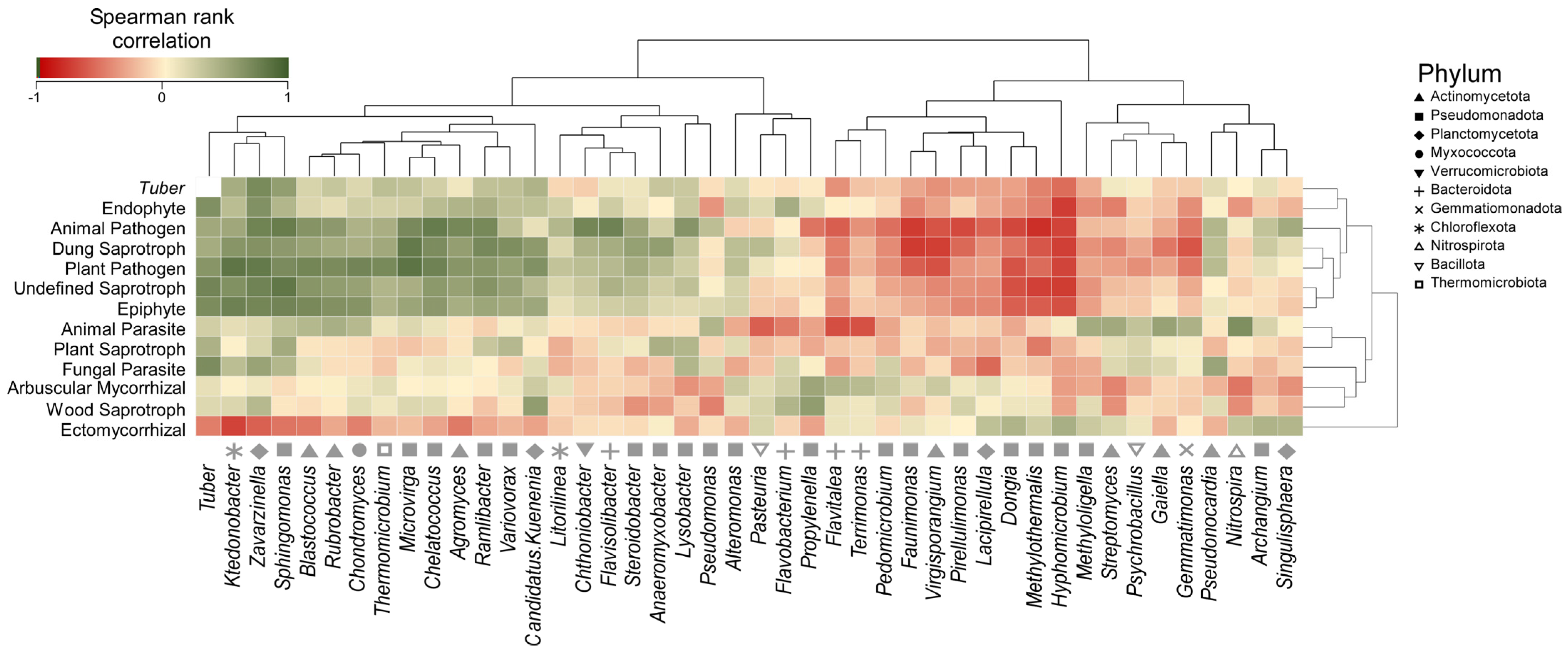 Jof 10 00800 g007 Jof 10 00800 g007