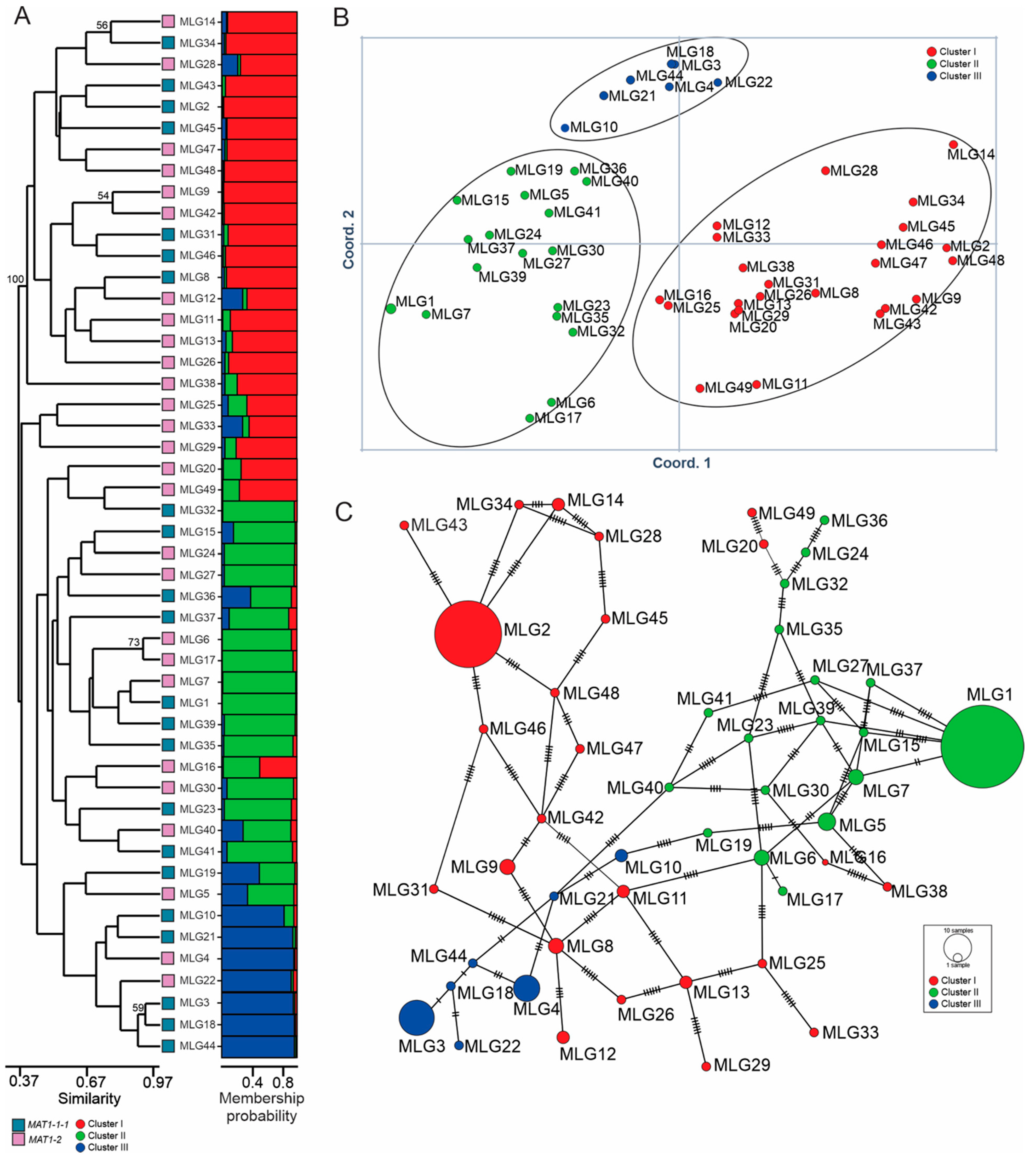Jof 10 00802 g002 Jof 10 00802 g002