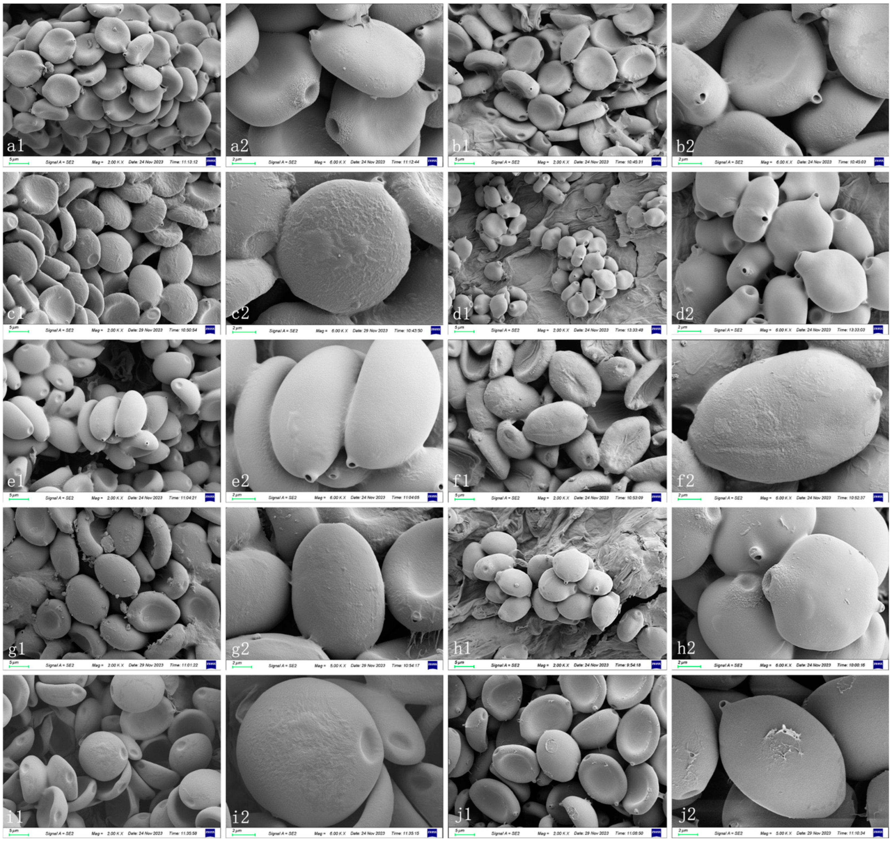 Jof 10 00835 g003 Jof 10 00835 g003