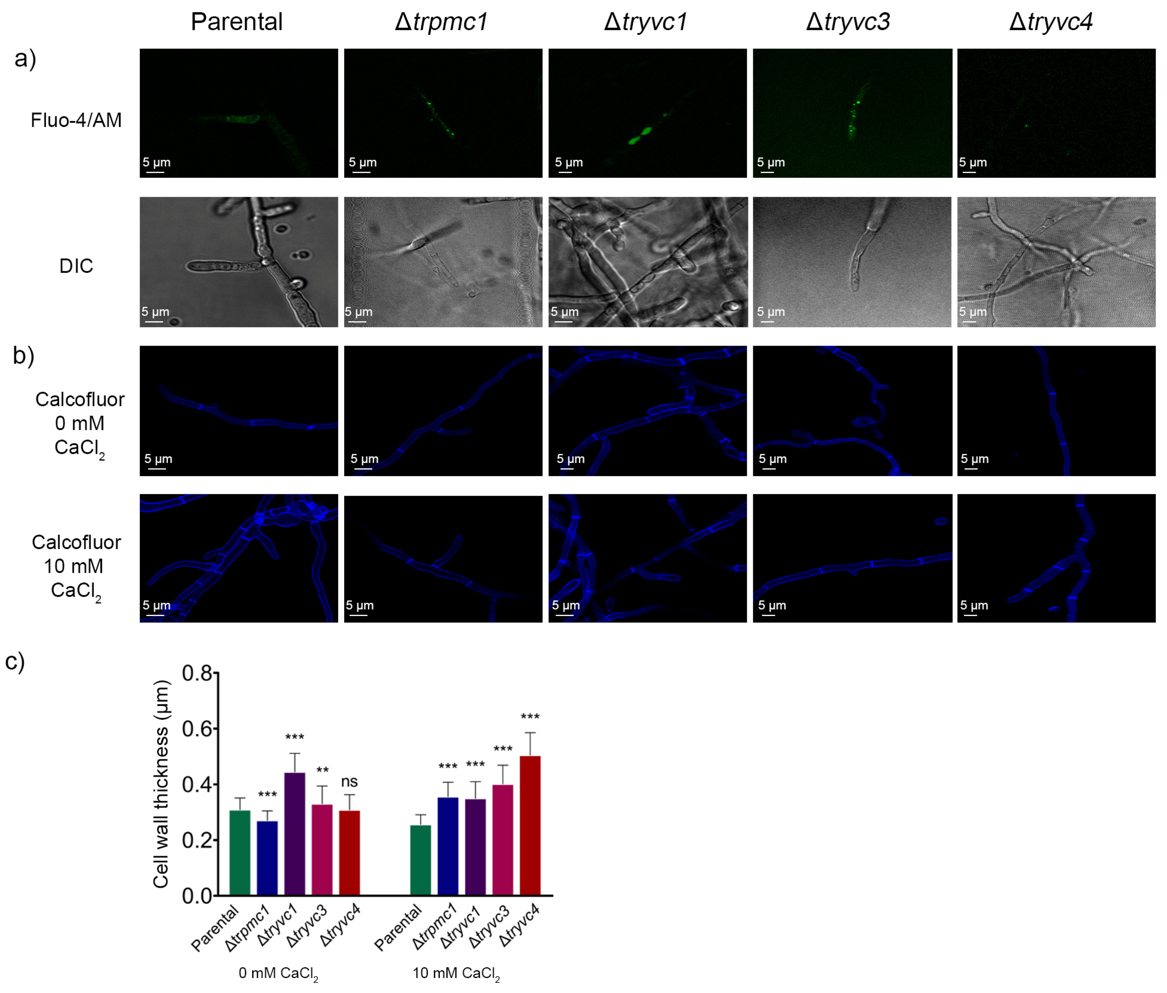 Jof 10 00853 g010 Jof 10 00853 g010