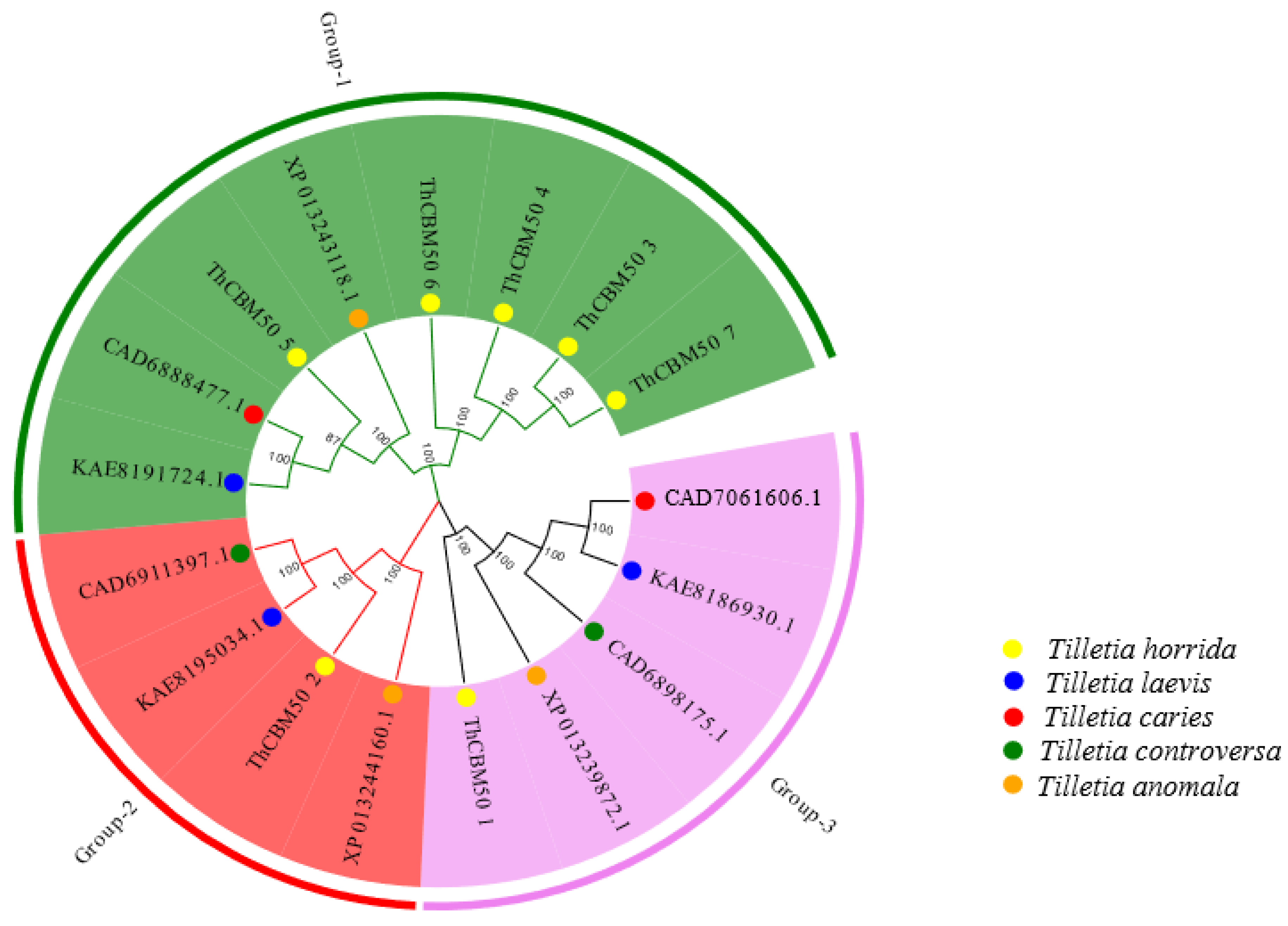 Jof 10 00856 g001 Jof 10 00856 g001