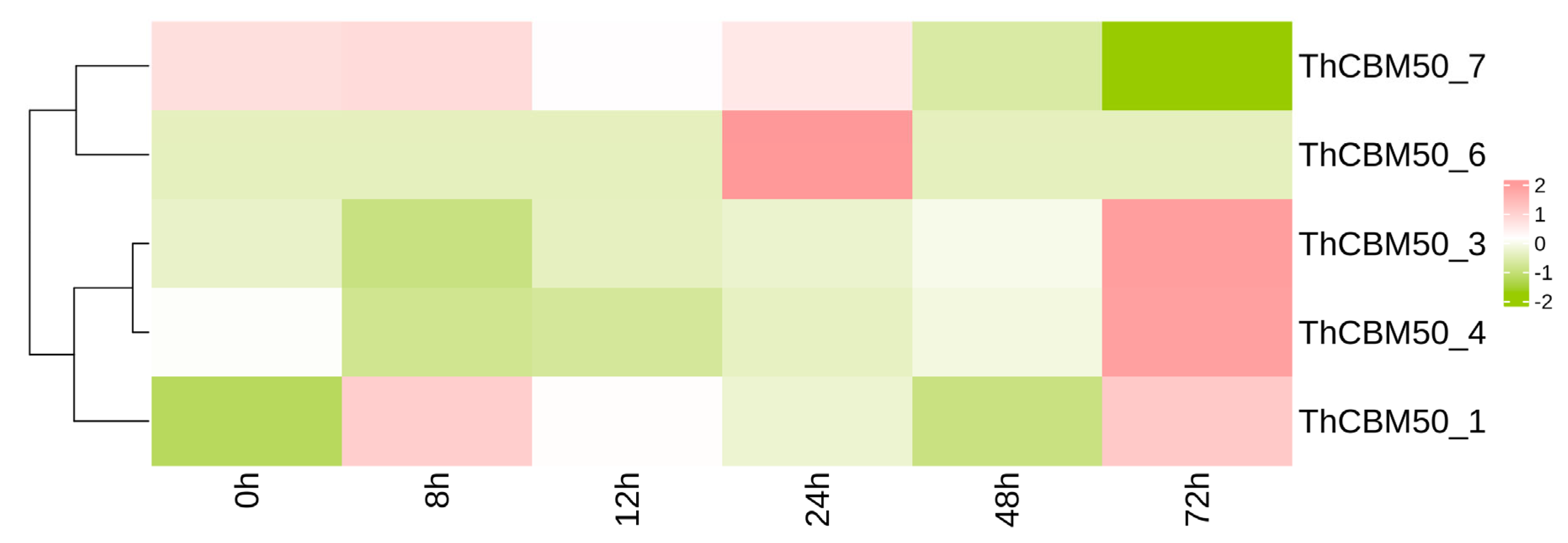 Jof 10 00856 g005 Jof 10 00856 g005