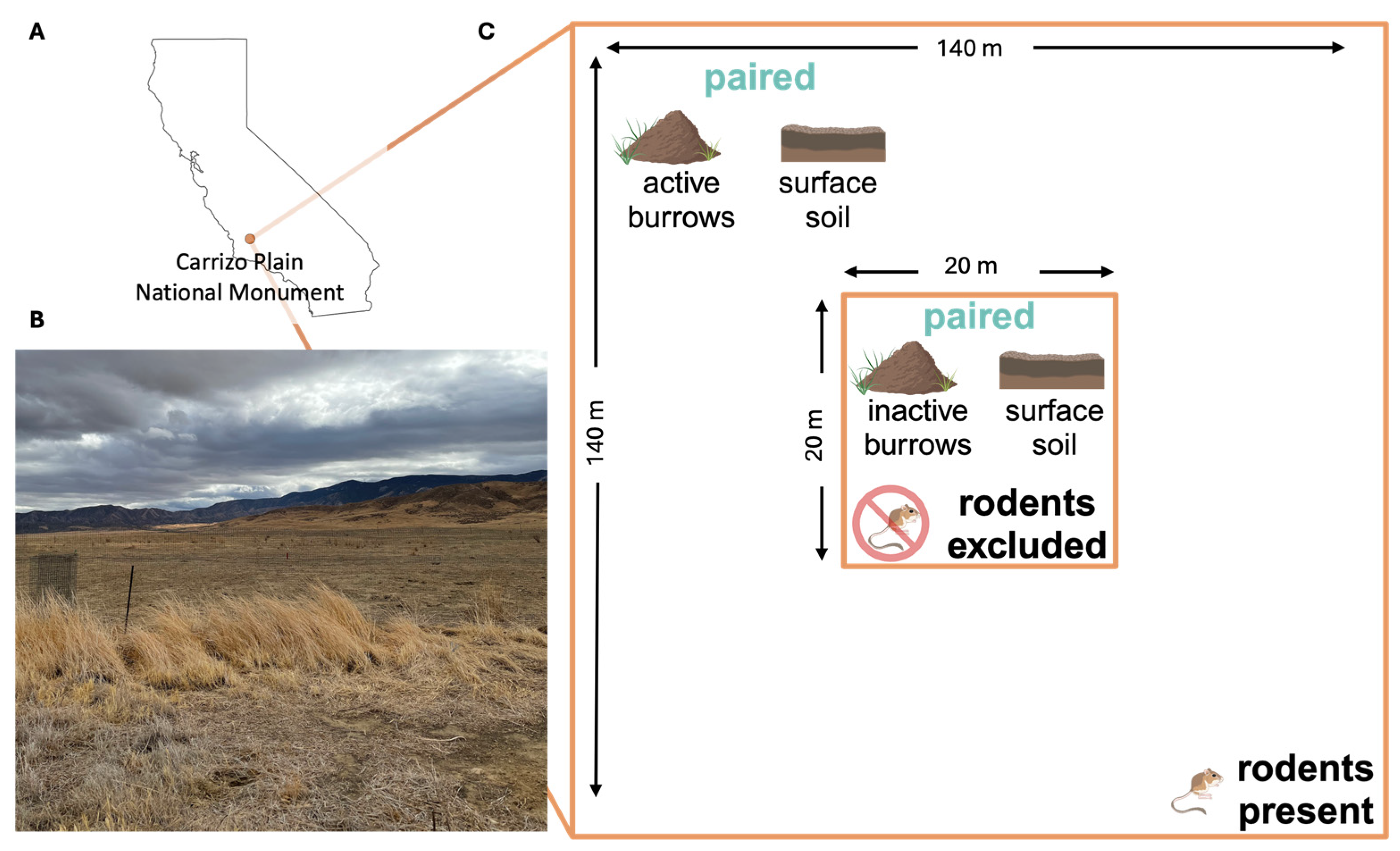 Jof 11 00309 g002 Jof 11 00309 g002