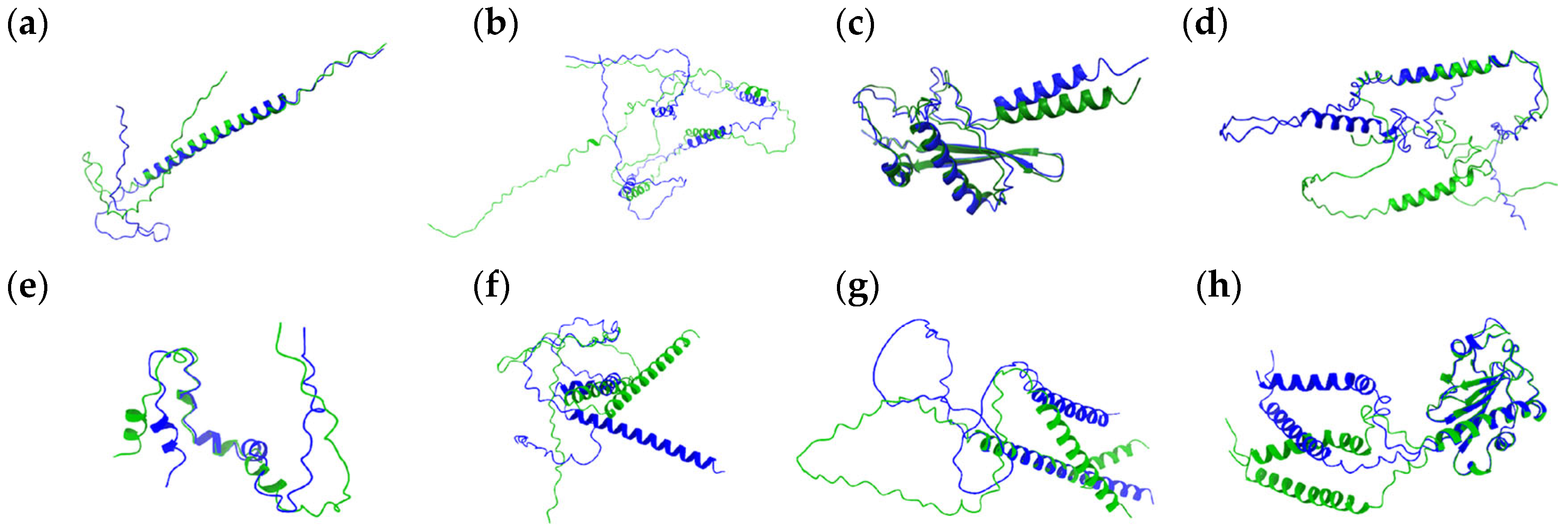 Jof 11 00638 g001 Jof 11 00638 g001