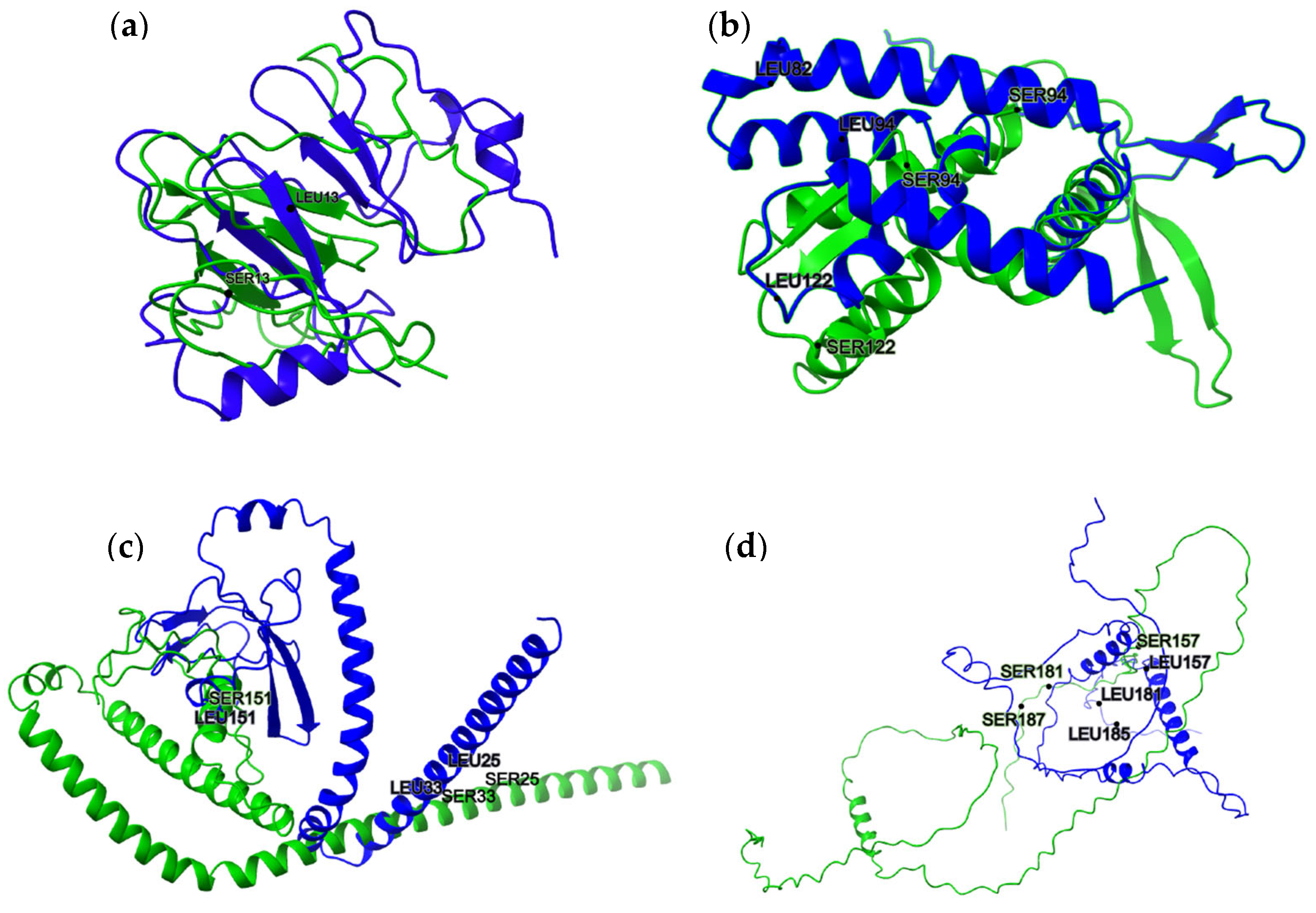 Jof 11 00638 g002 Jof 11 00638 g002
