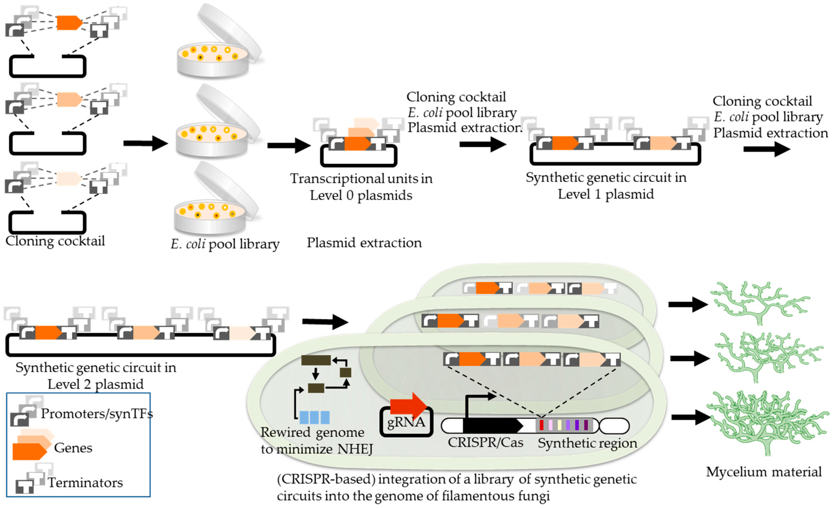 Jof 11 00721 g002 Jof 11 00721 g002