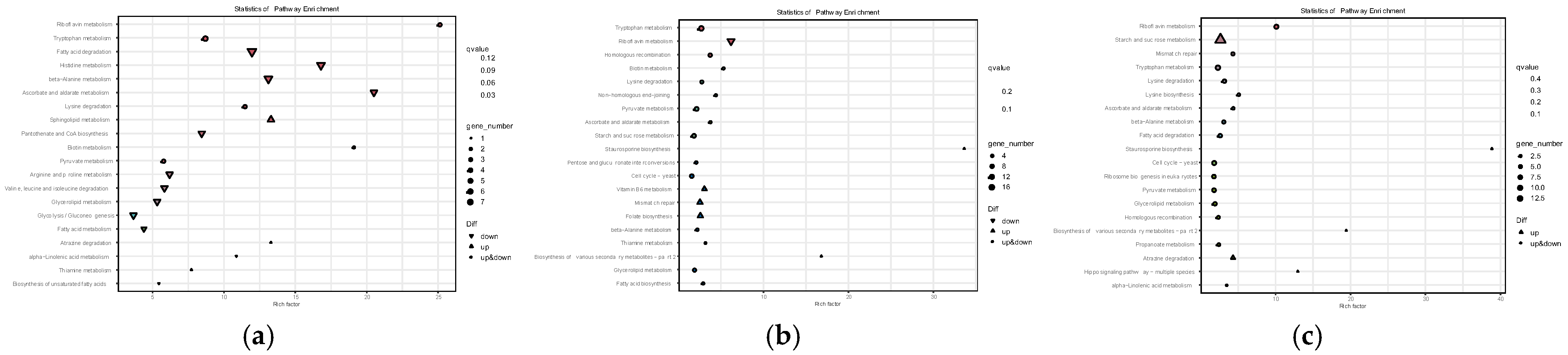 Jof 11 00750 g007 Jof 11 00750 g007