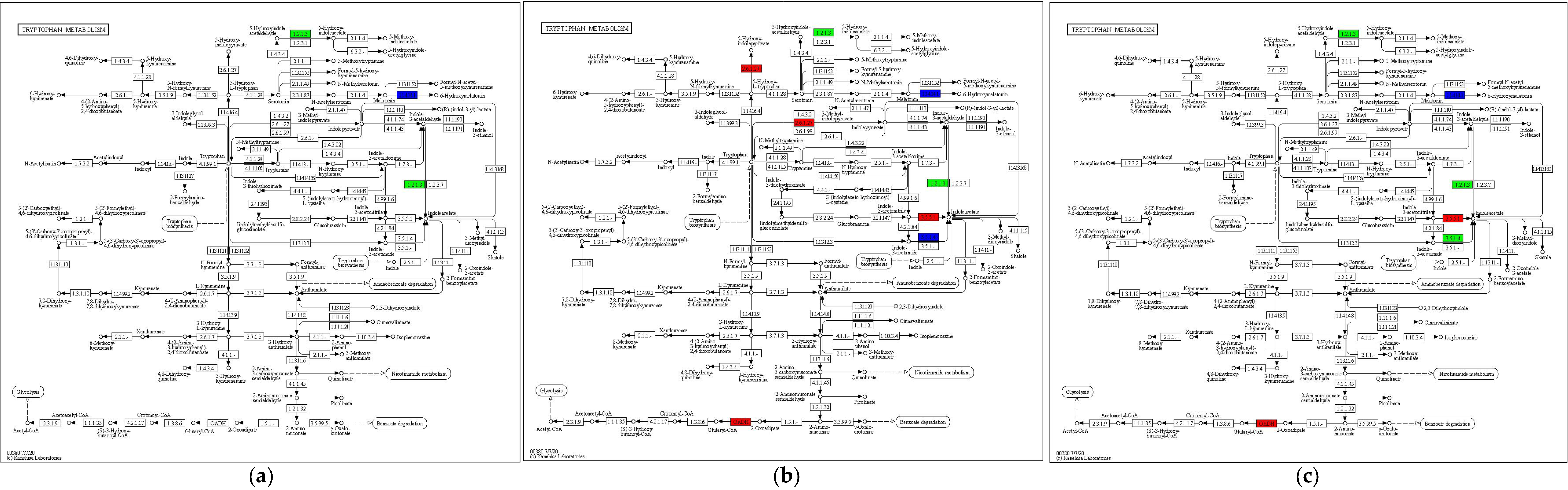 Jof 11 00750 g008 Jof 11 00750 g008