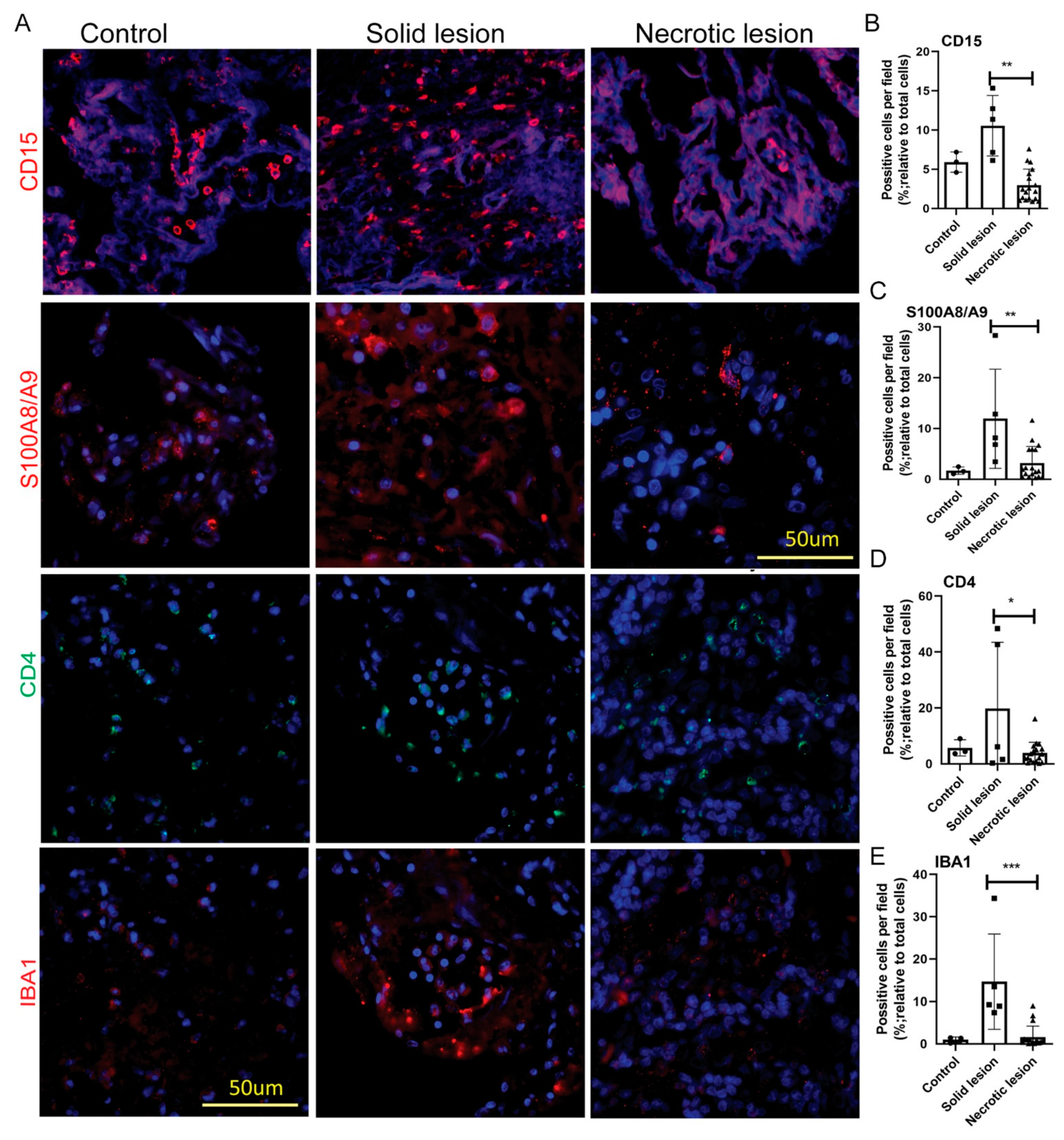 Jor 01 00023 g002 Jor 01 00023 g002