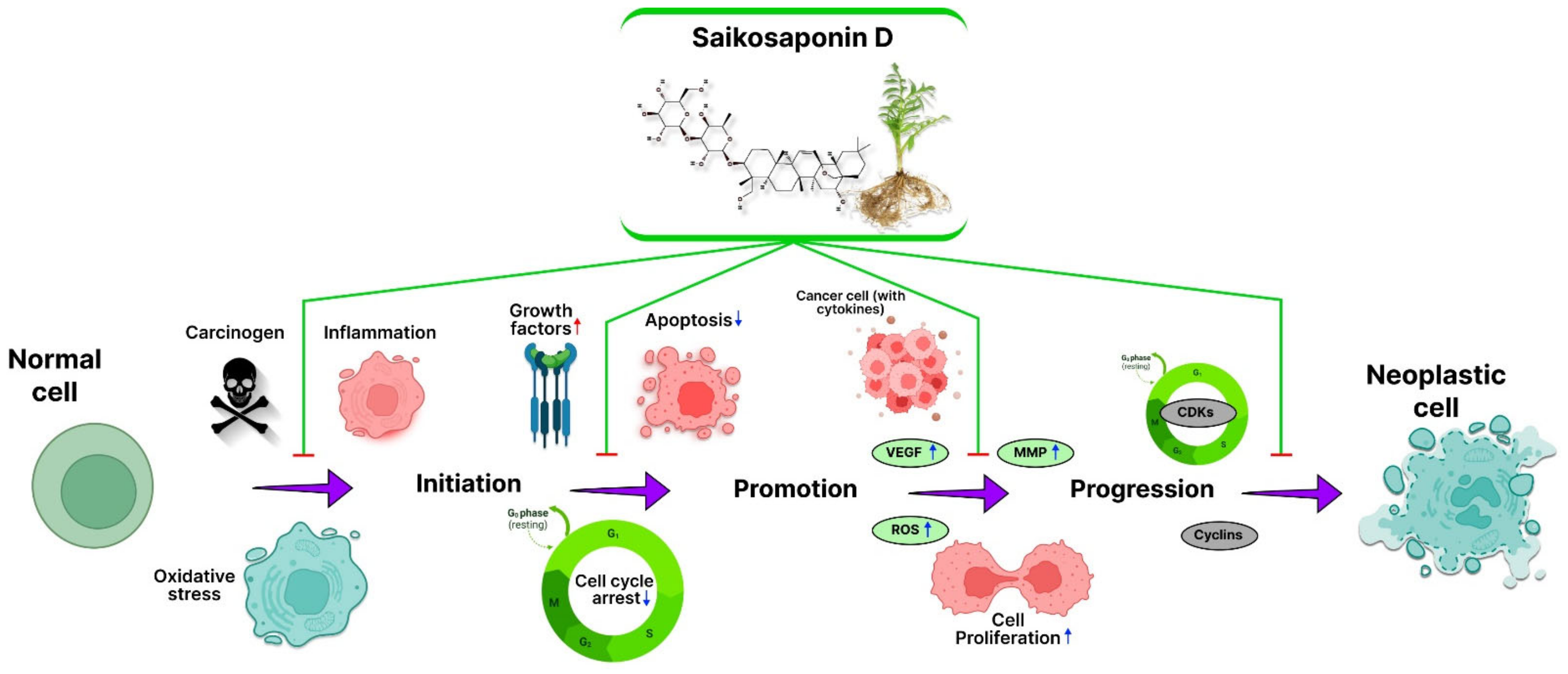 Jox 12 00027 g003 Jox 12 00027 g003