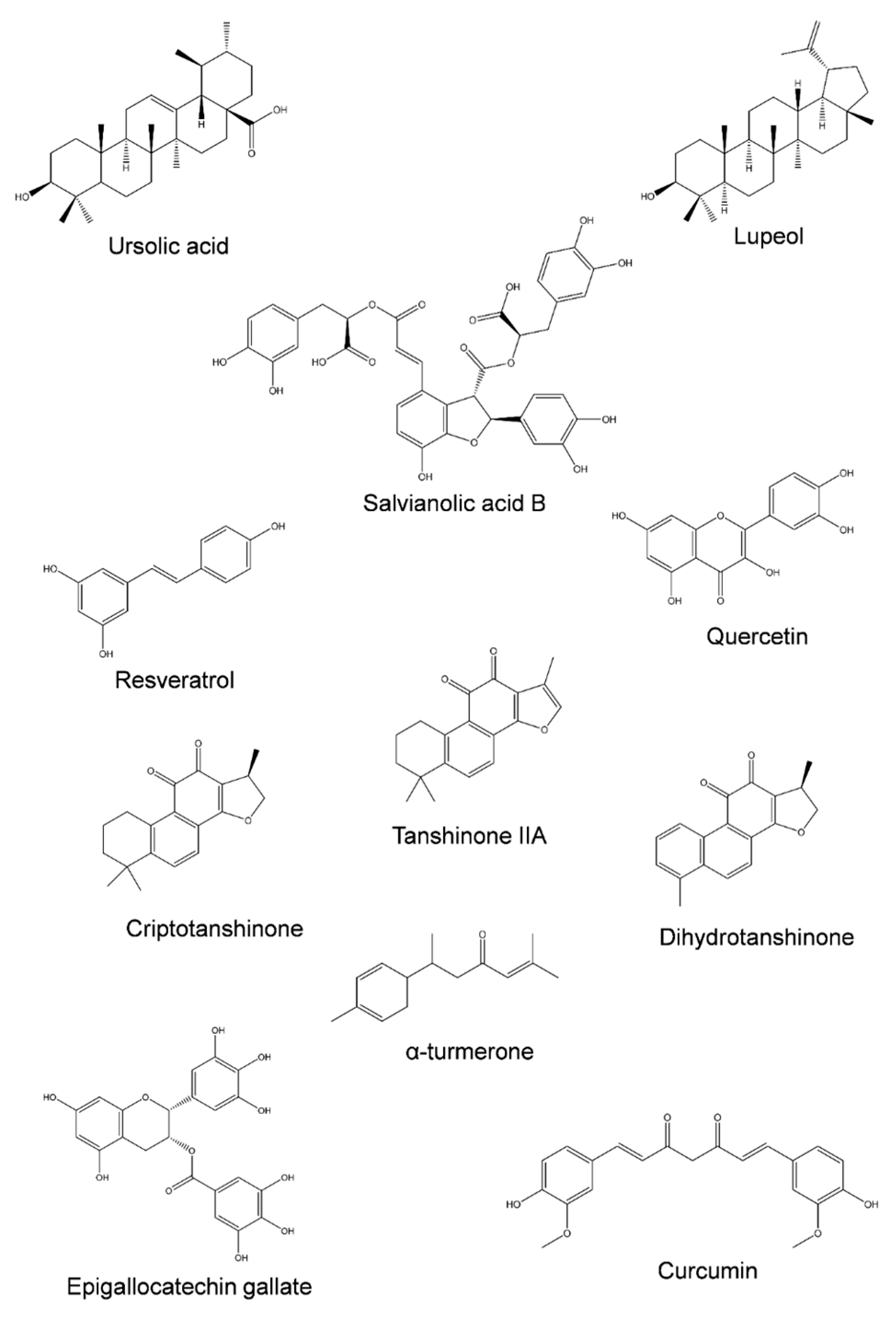 Jox 13 00014 g003 Jox 13 00014 g003