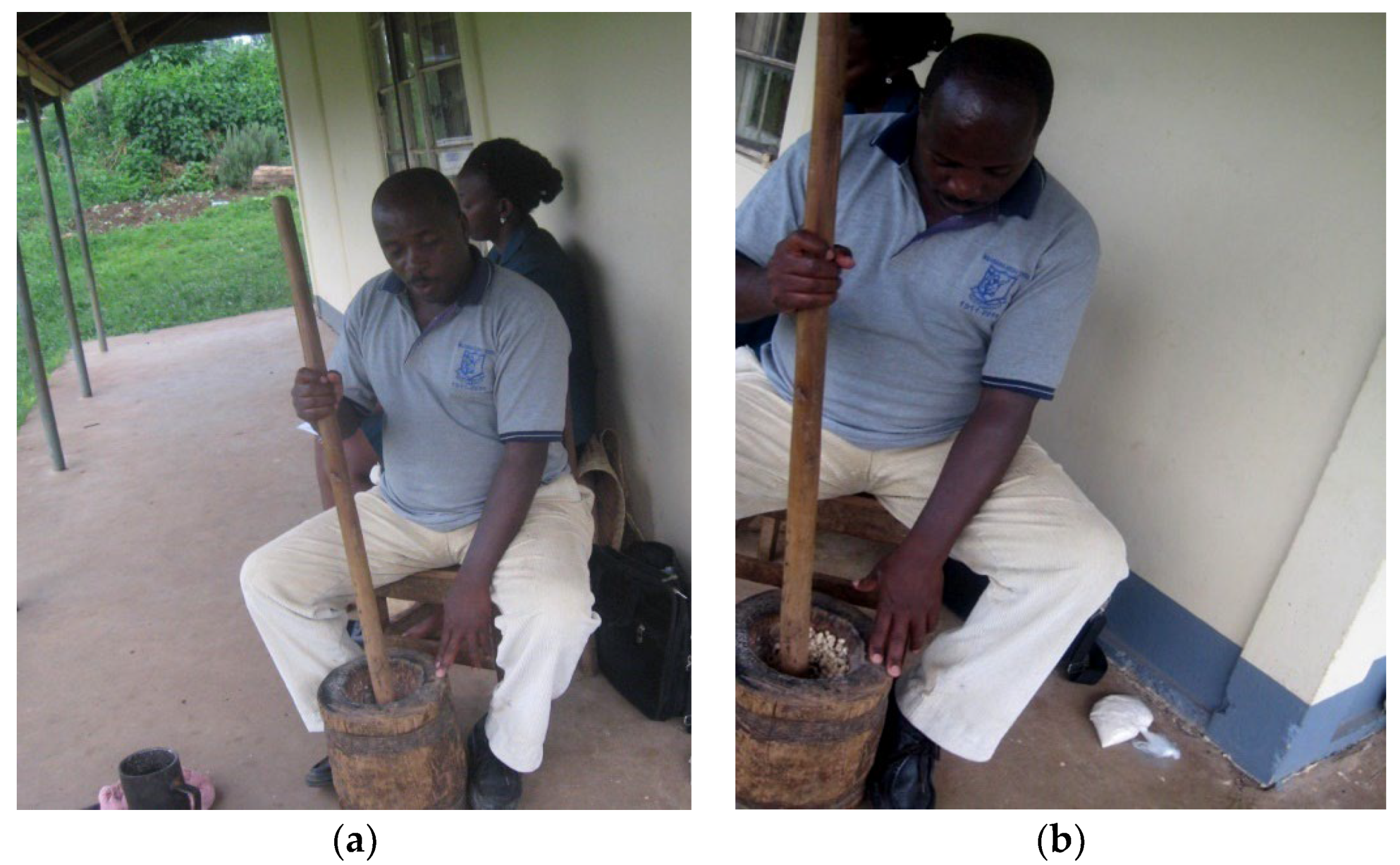 Jox 13 00022 g002 Jox 13 00022 g002