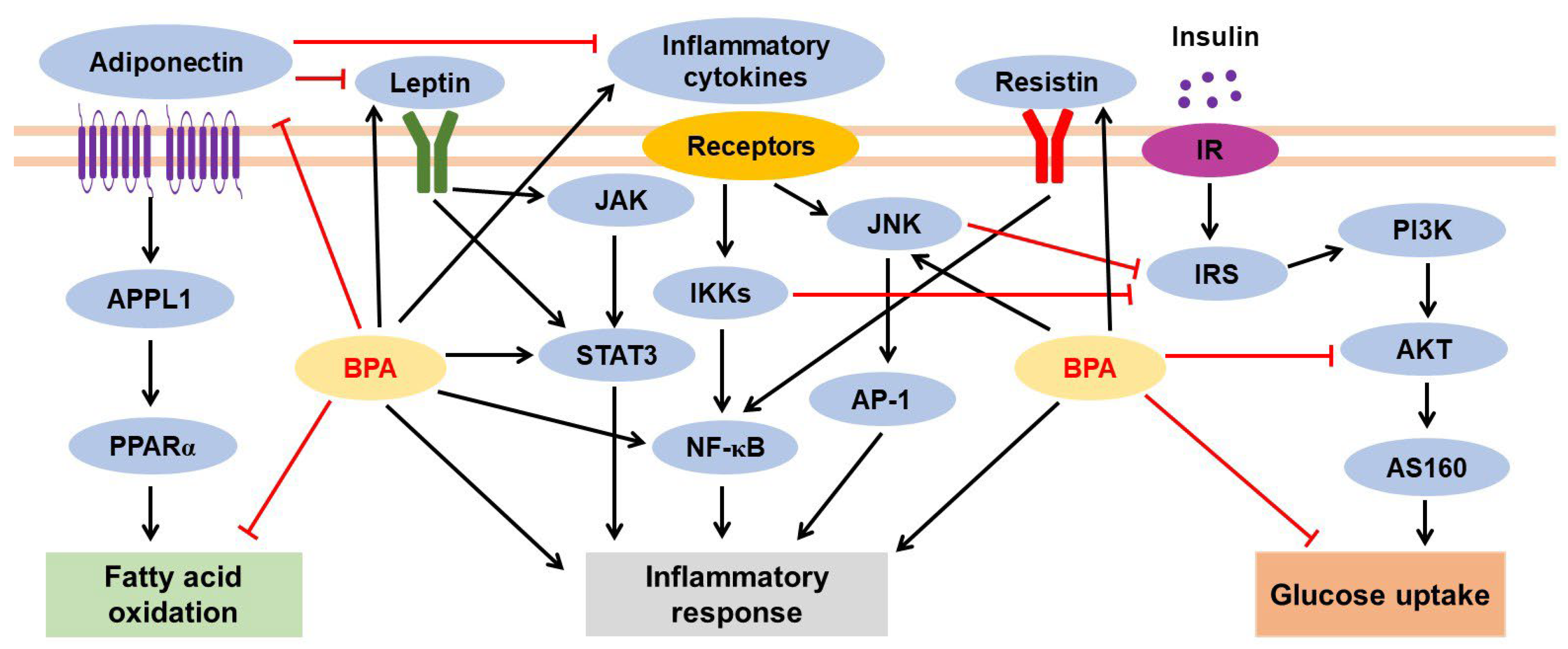 Jox 13 00049 g003 Jox 13 00049 g003