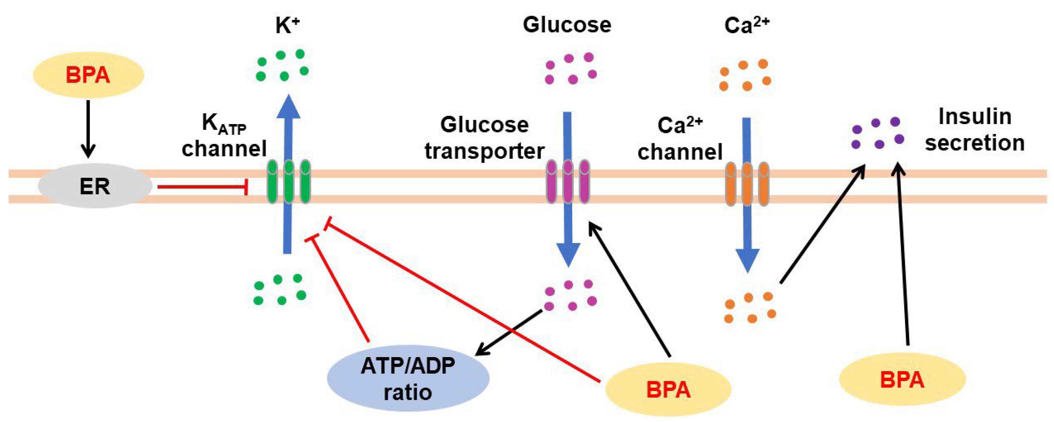 Jox 13 00049 g004 Jox 13 00049 g004