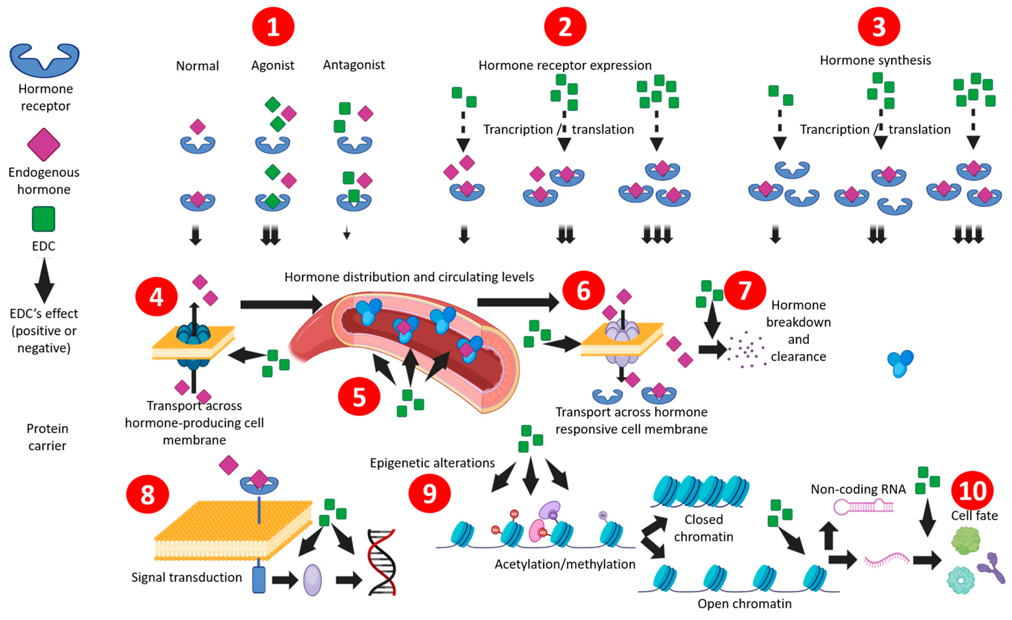 Jox 14 00099 g002 Jox 14 00099 g002