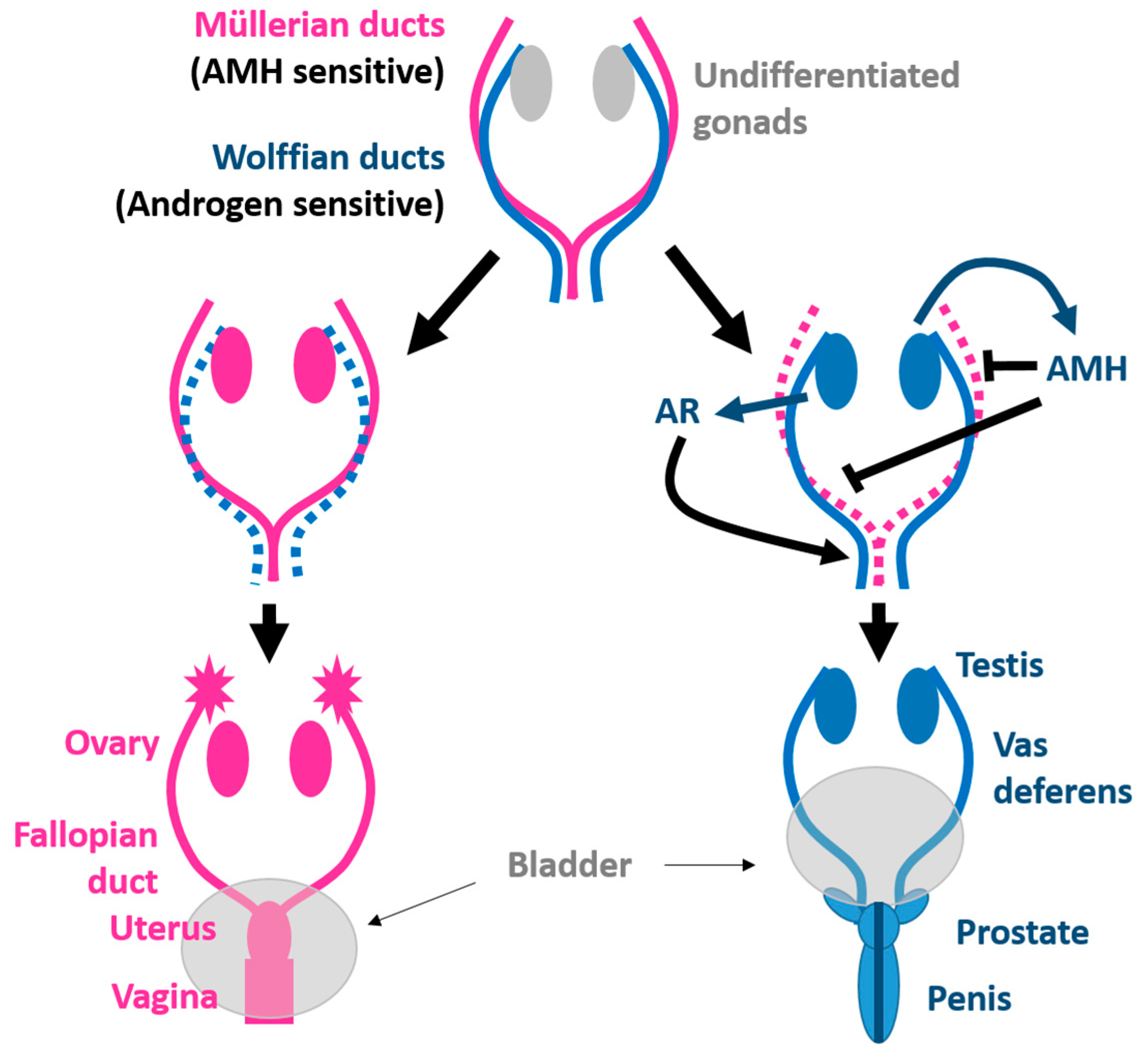 Jox 14 00099 g005 Jox 14 00099 g005