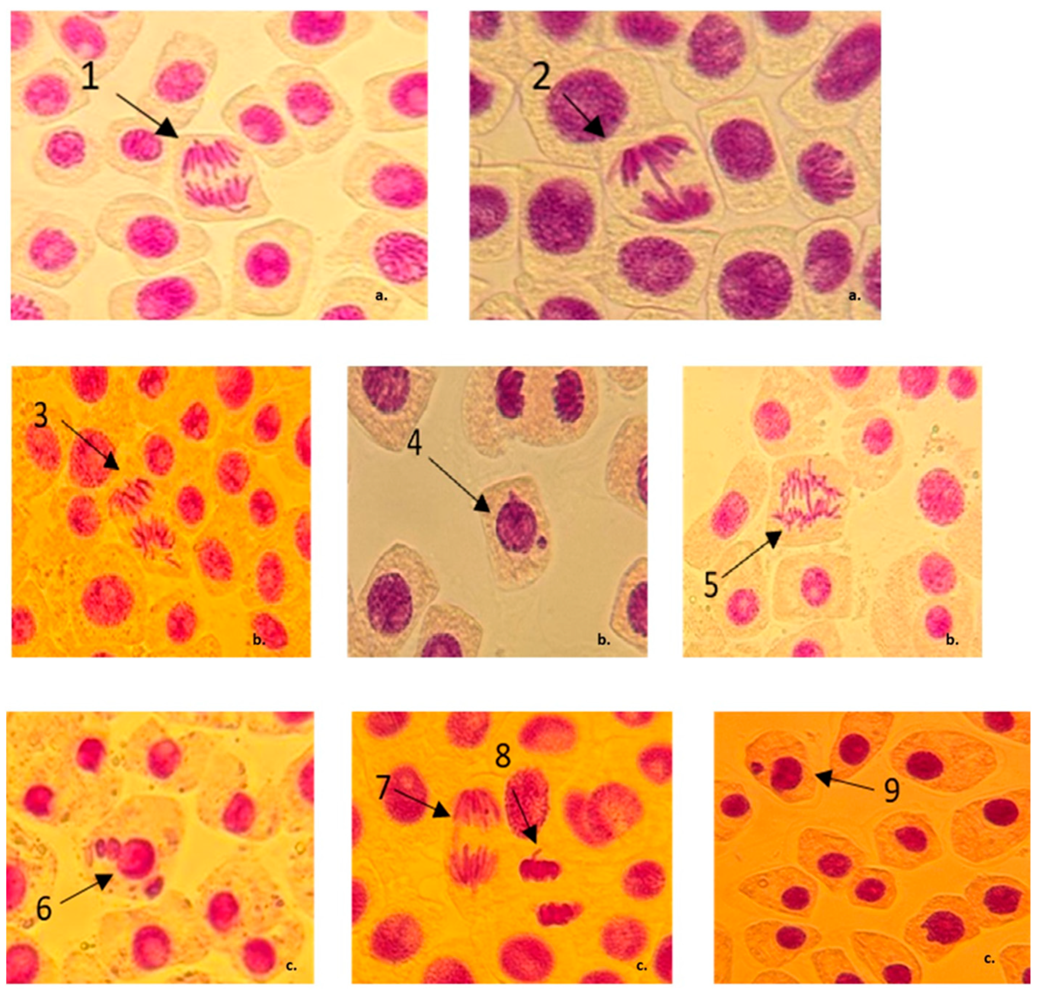 Jox 15 00035 g001 Jox 15 00035 g001