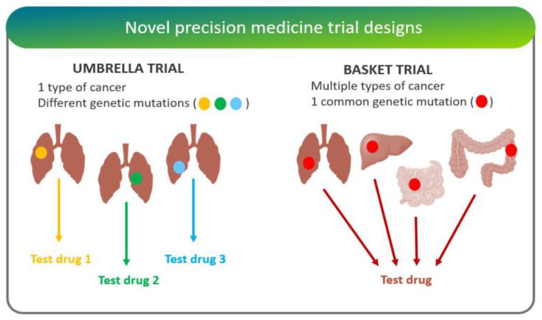 JPM | Free Full-Text | Precision Oncology—The Quest for Evidence