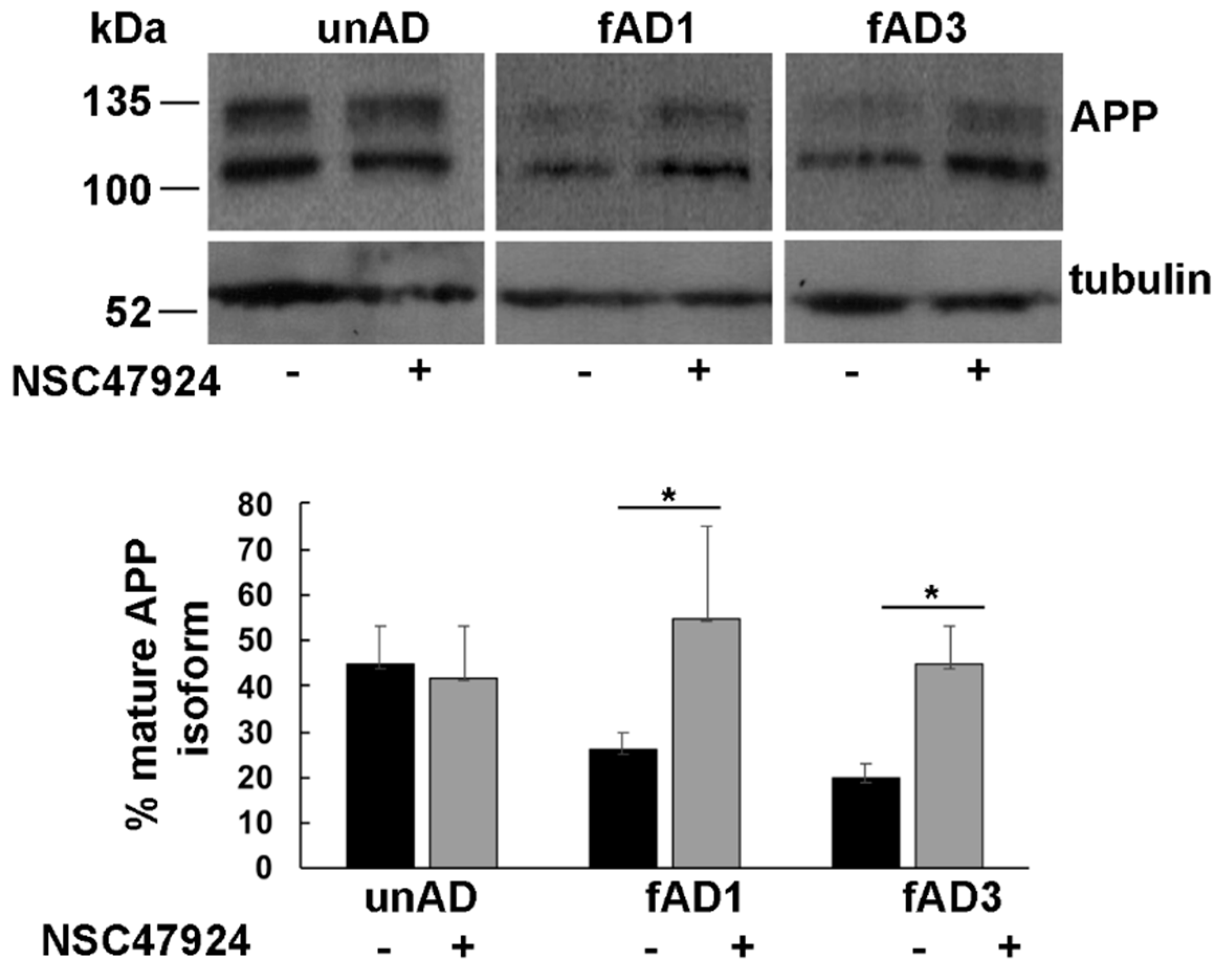 Jpm 10 00232 g001 Jpm 10 00232 g001