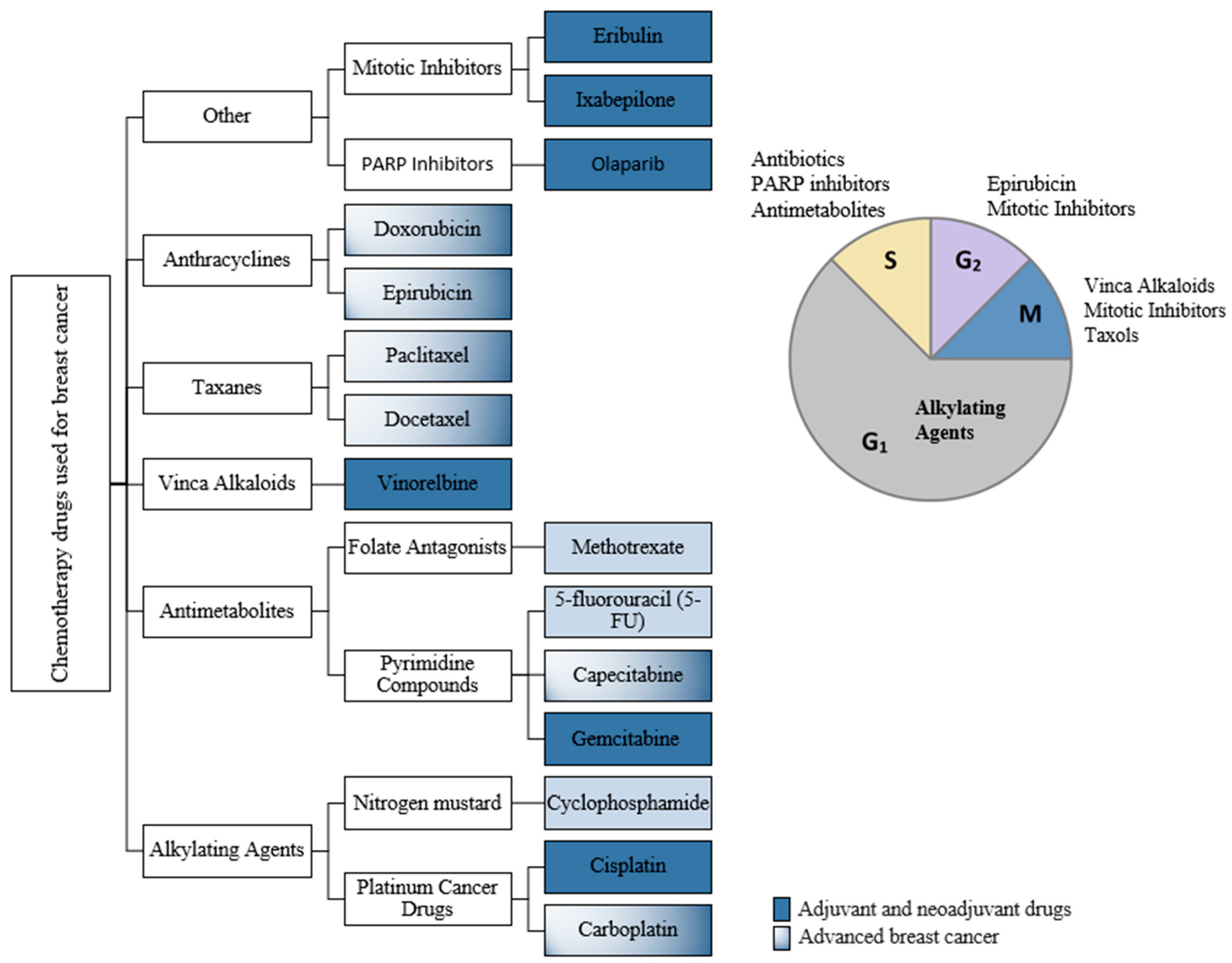 Jpm Free Full Text Mass Spectrometry Based Omics For The Characterization Of Triple Negative Breast Cancer Bio Signature Html