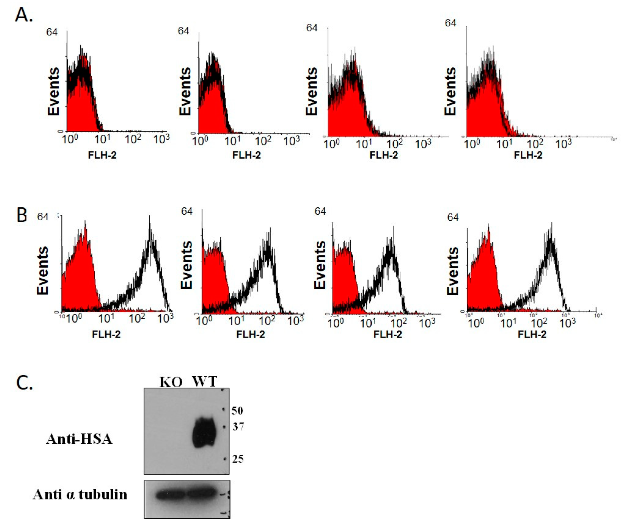 JPM | Free Full-Text | High Expression Level of PPARγ in CD24