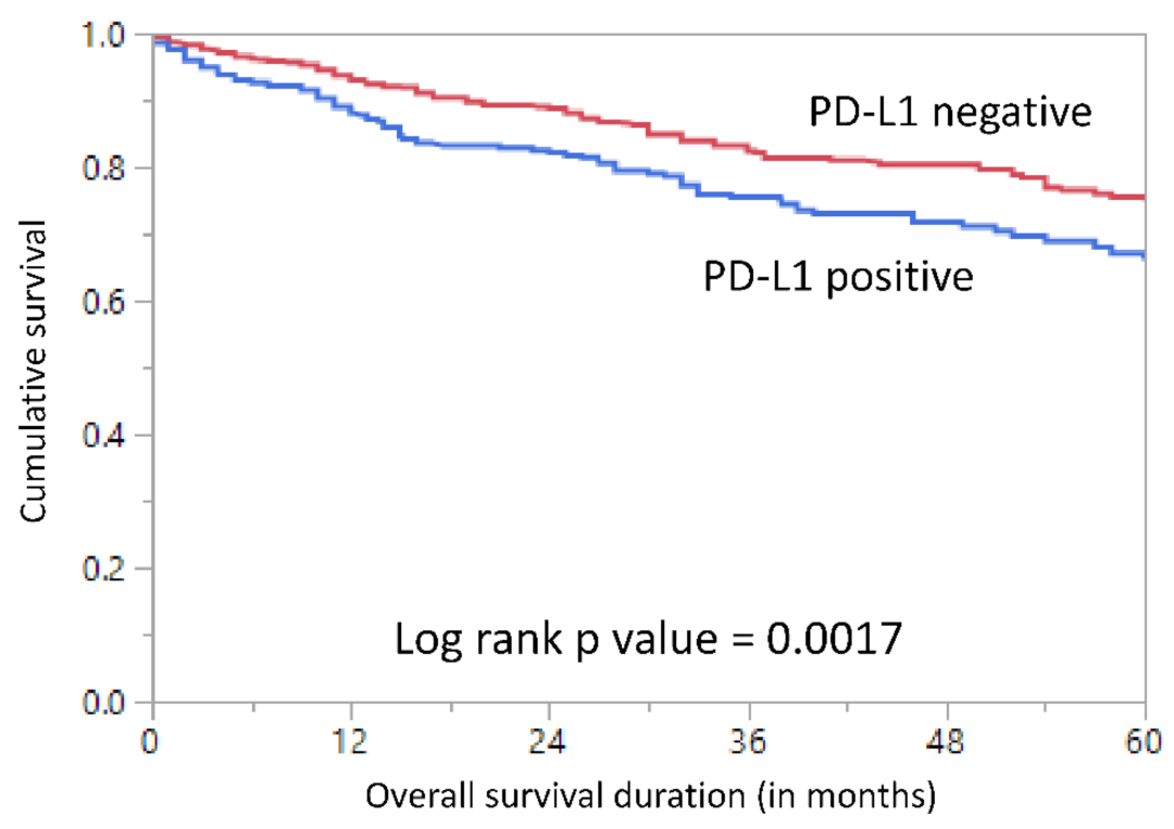 Jpm 11 00073 g002 Jpm 11 00073 g002