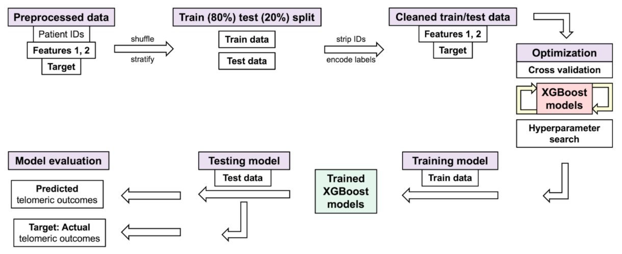 Jpm 11 00188 g005 Jpm 11 00188 g005