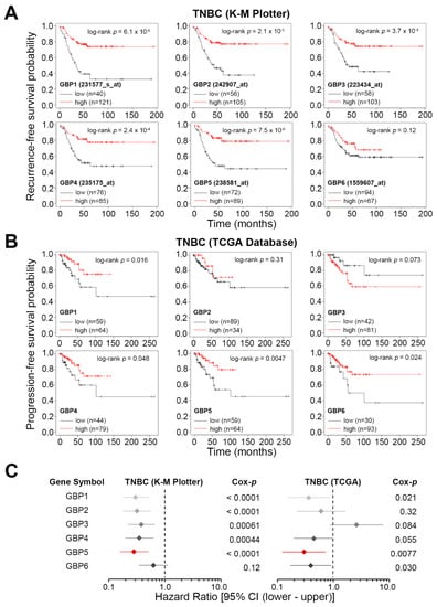 Jpm Free Full Text Gbp5 Serves As A Potential Marker To Predict A Favorable Response In Triple Negative Breast Cancer Patients Receiving A Taxane Based Chemotherapy Html