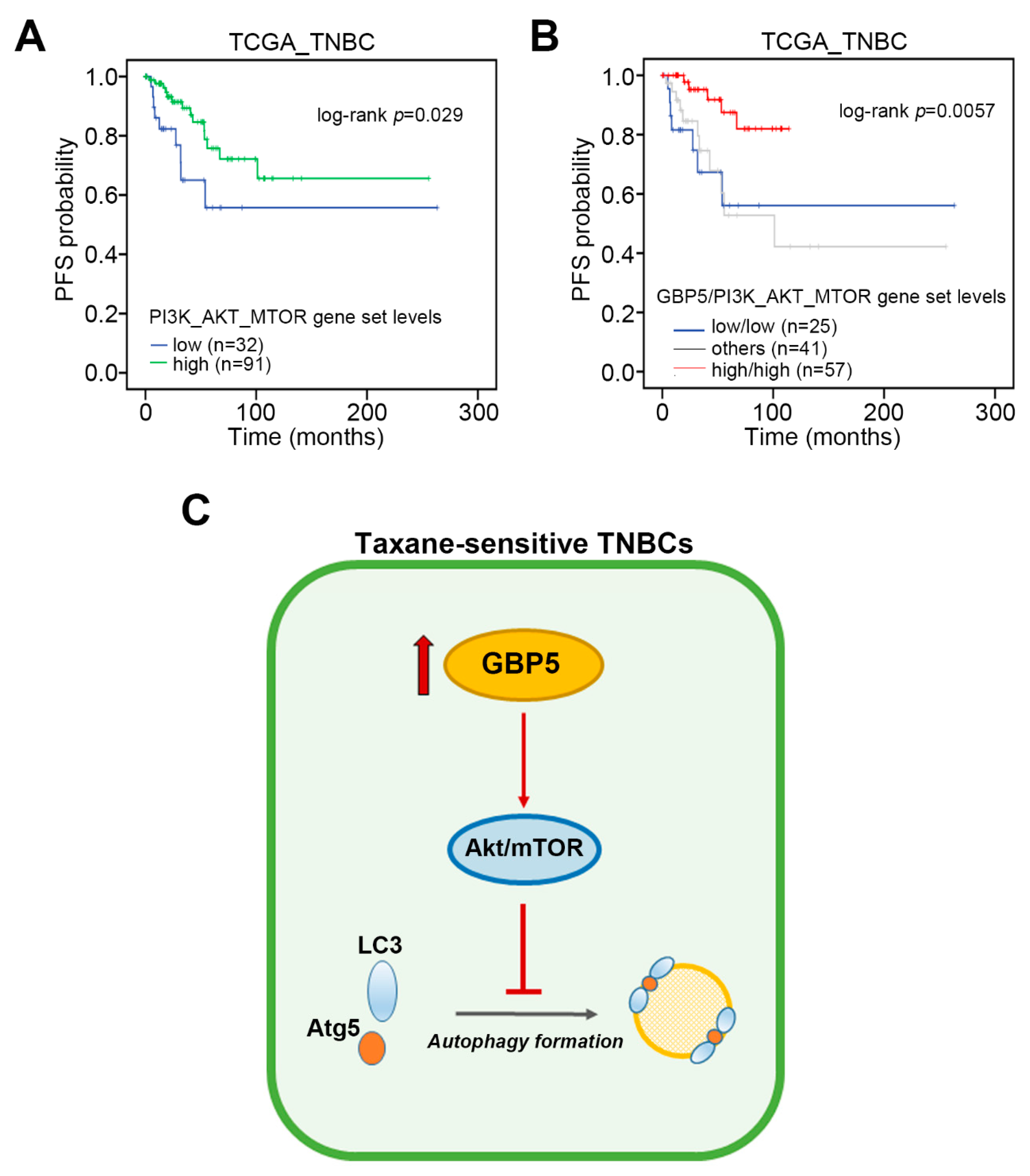 Jpm Free Full Text Gbp5 Serves As A Potential Marker To Predict A Favorable Response In Triple Negative Breast Cancer Patients Receiving A Taxane Based Chemotherapy Html