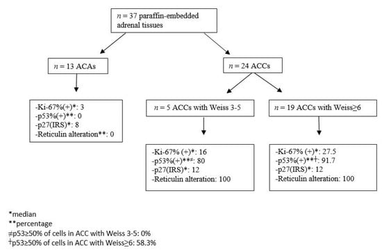 The Role of Immunohistochemical Markers for the Diagnosis and Prognosis ...