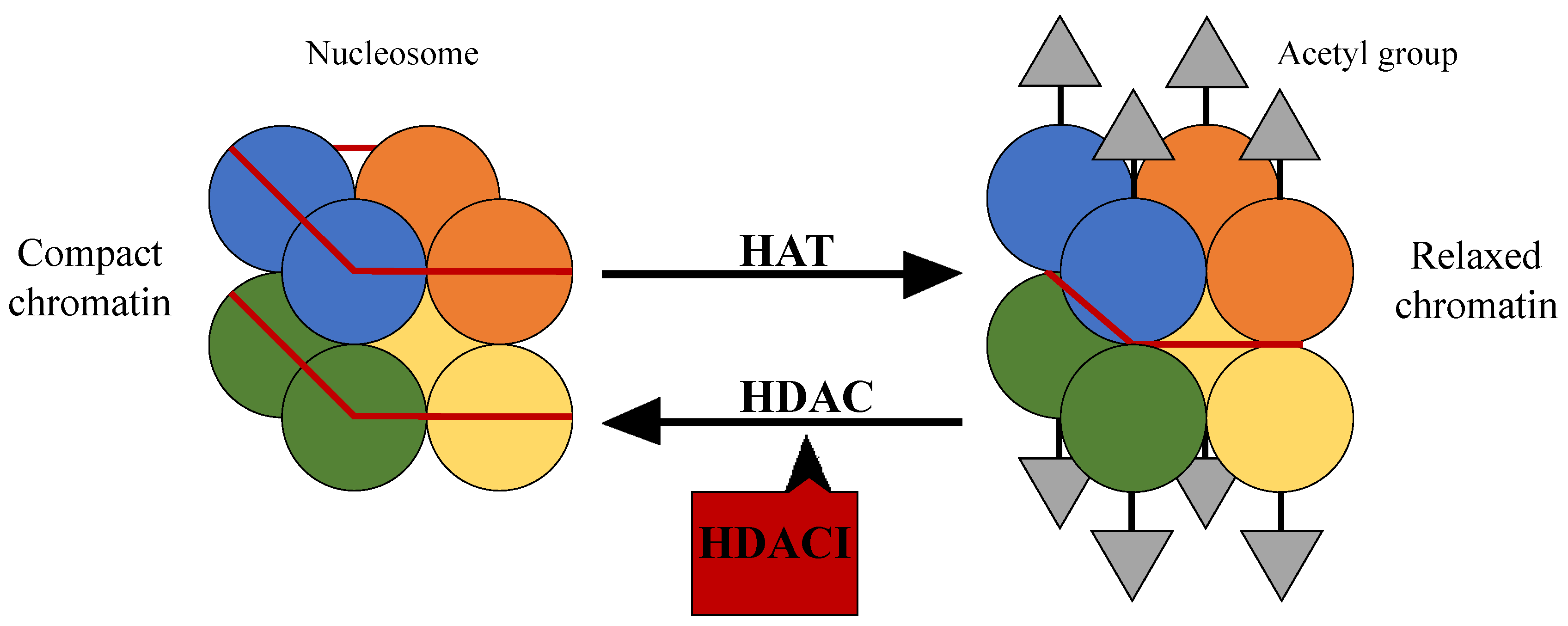 Jpm Free Full Text Histone Deacetylase Inhibitors In The Treatment Of Hepatocellular Carcinoma Current Evidence And Future Opportunities Html