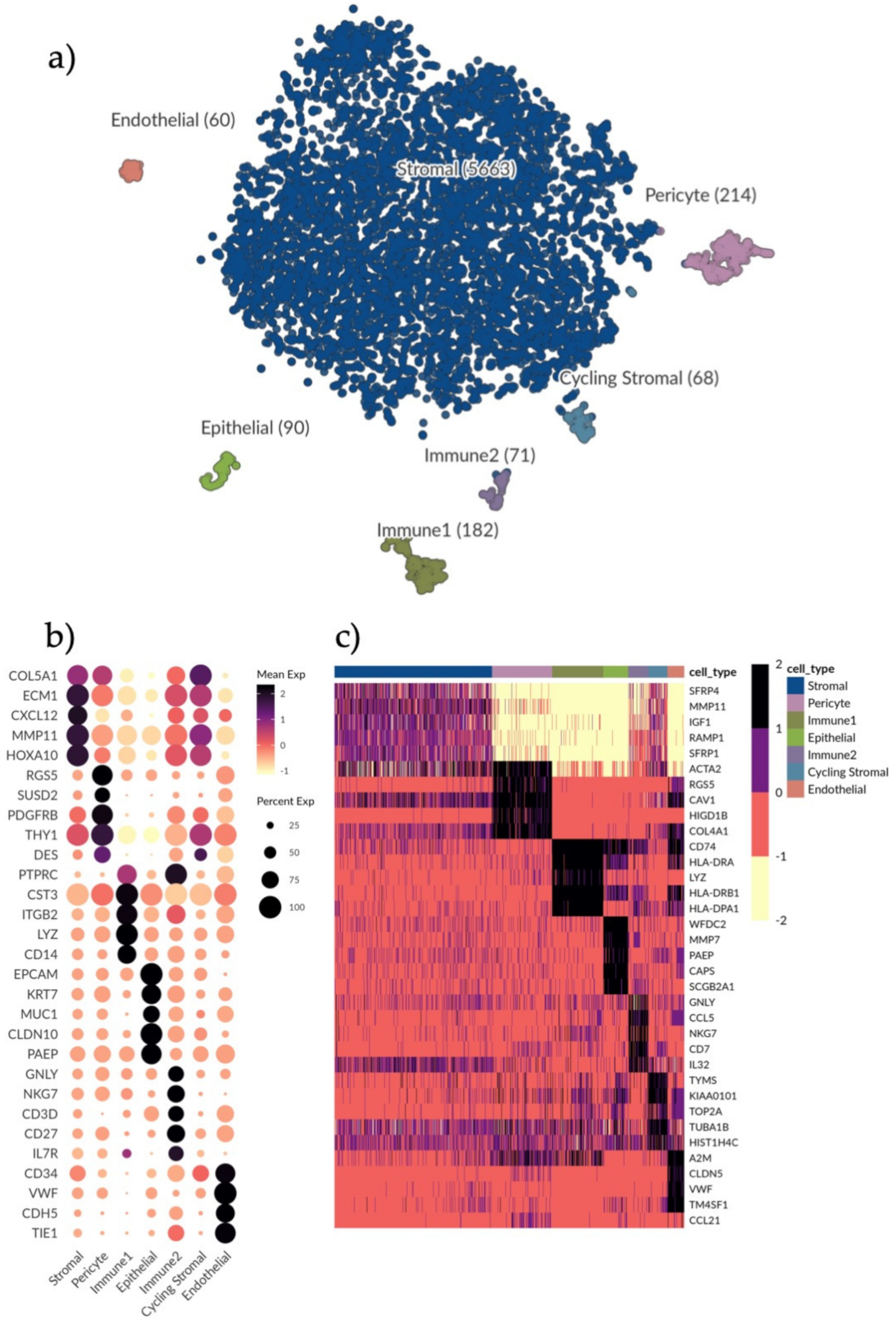 Transplantation of human endometrial perivascular cells with