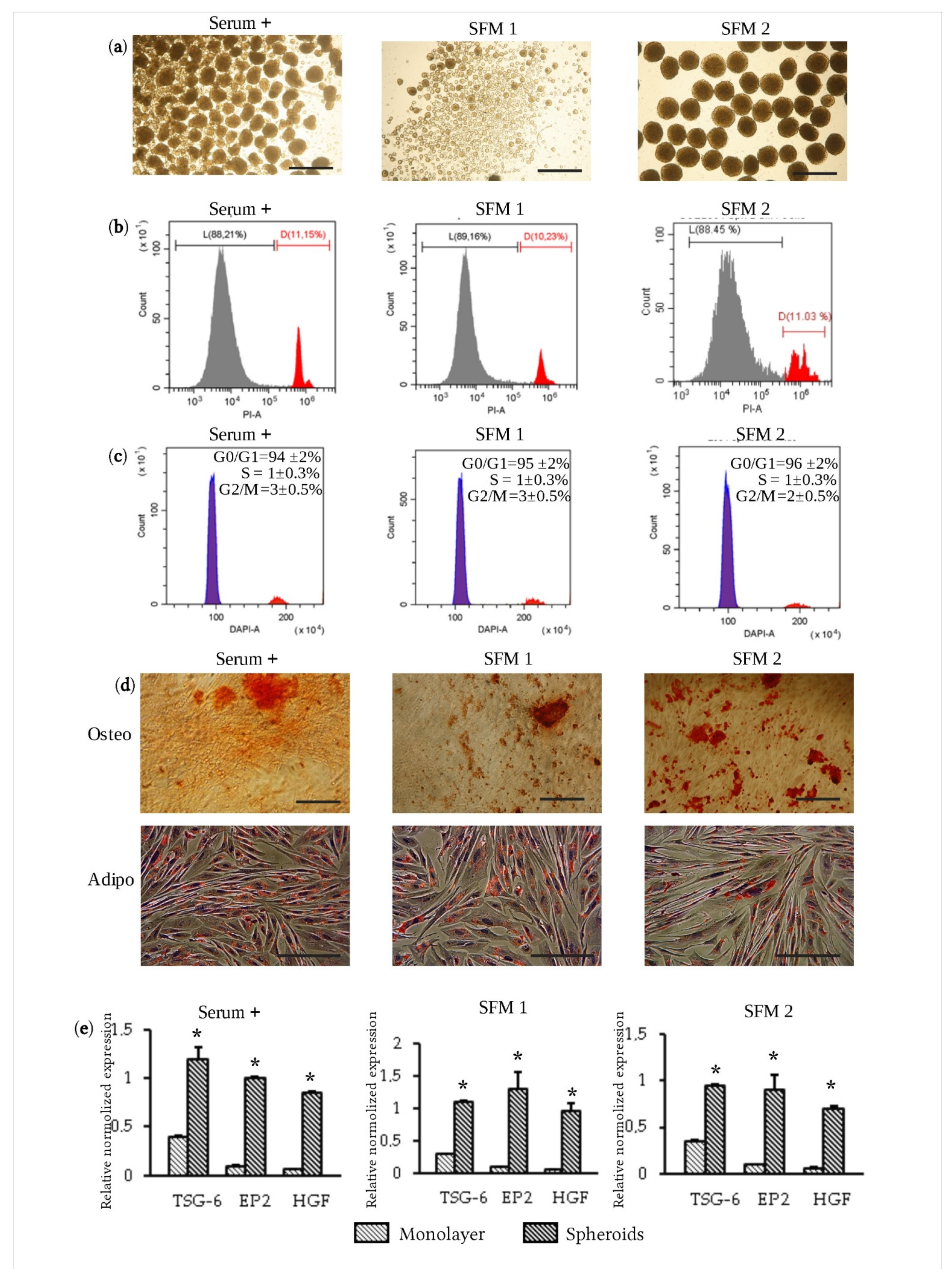 Jpm 11 00466 g002 Jpm 11 00466 g002