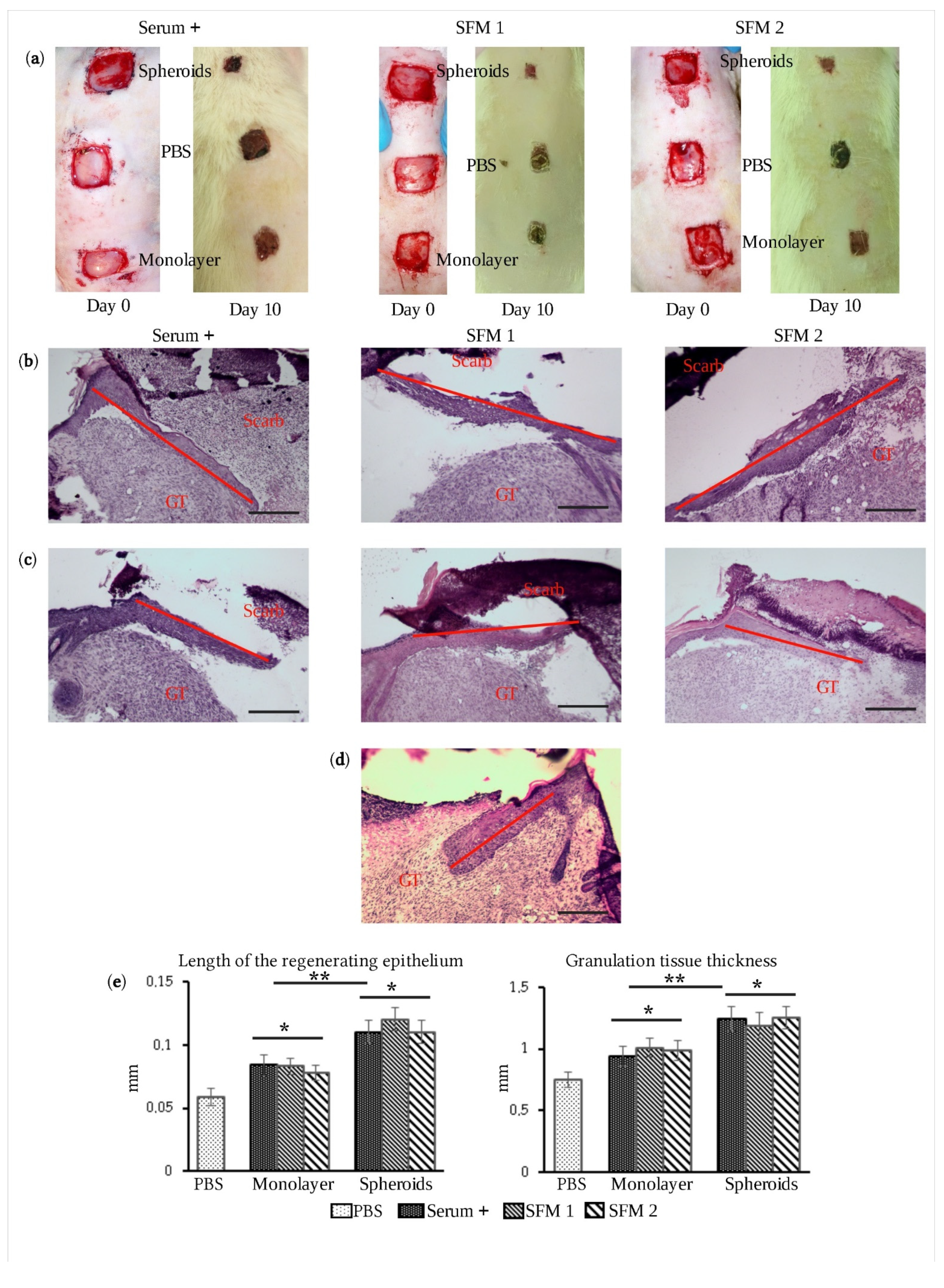 Jpm 11 00466 g003 Jpm 11 00466 g003