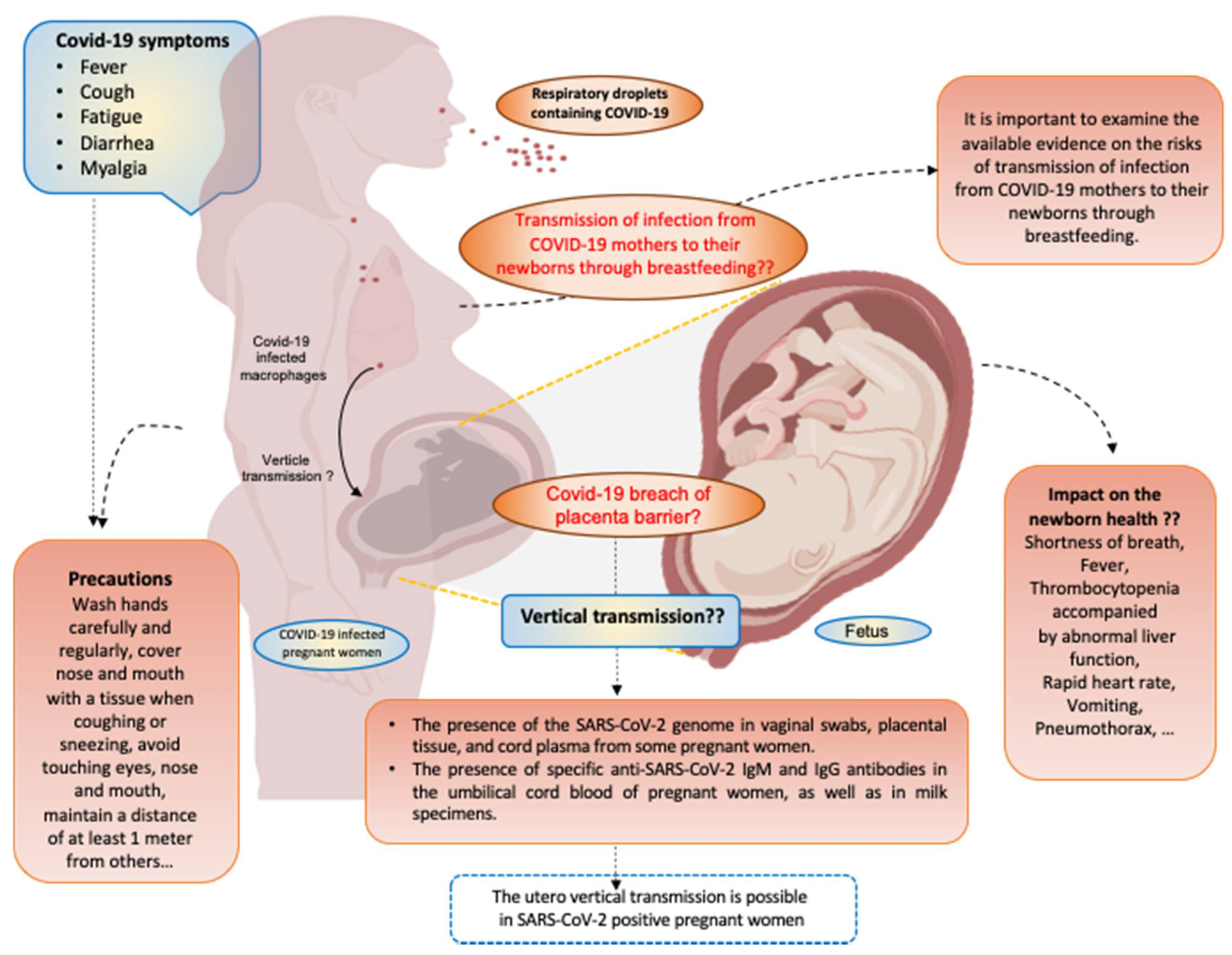 JPM | Free Full-Text | COVID-19 Infection during Pregnancy: Risk of  Vertical Transmission, Fetal, and Neonatal Outcomes