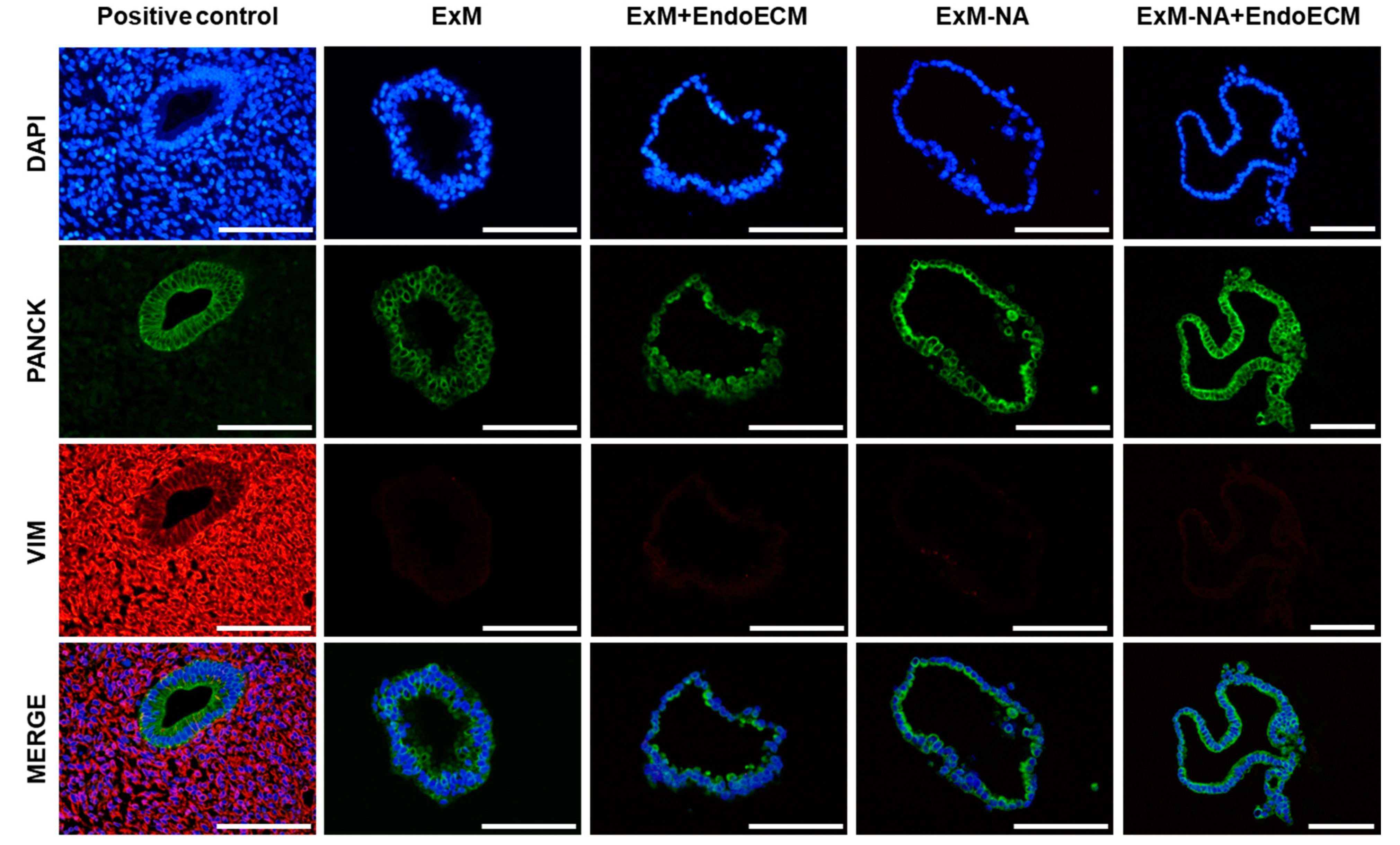 Jpm 11 00504 g003 Jpm 11 00504 g003