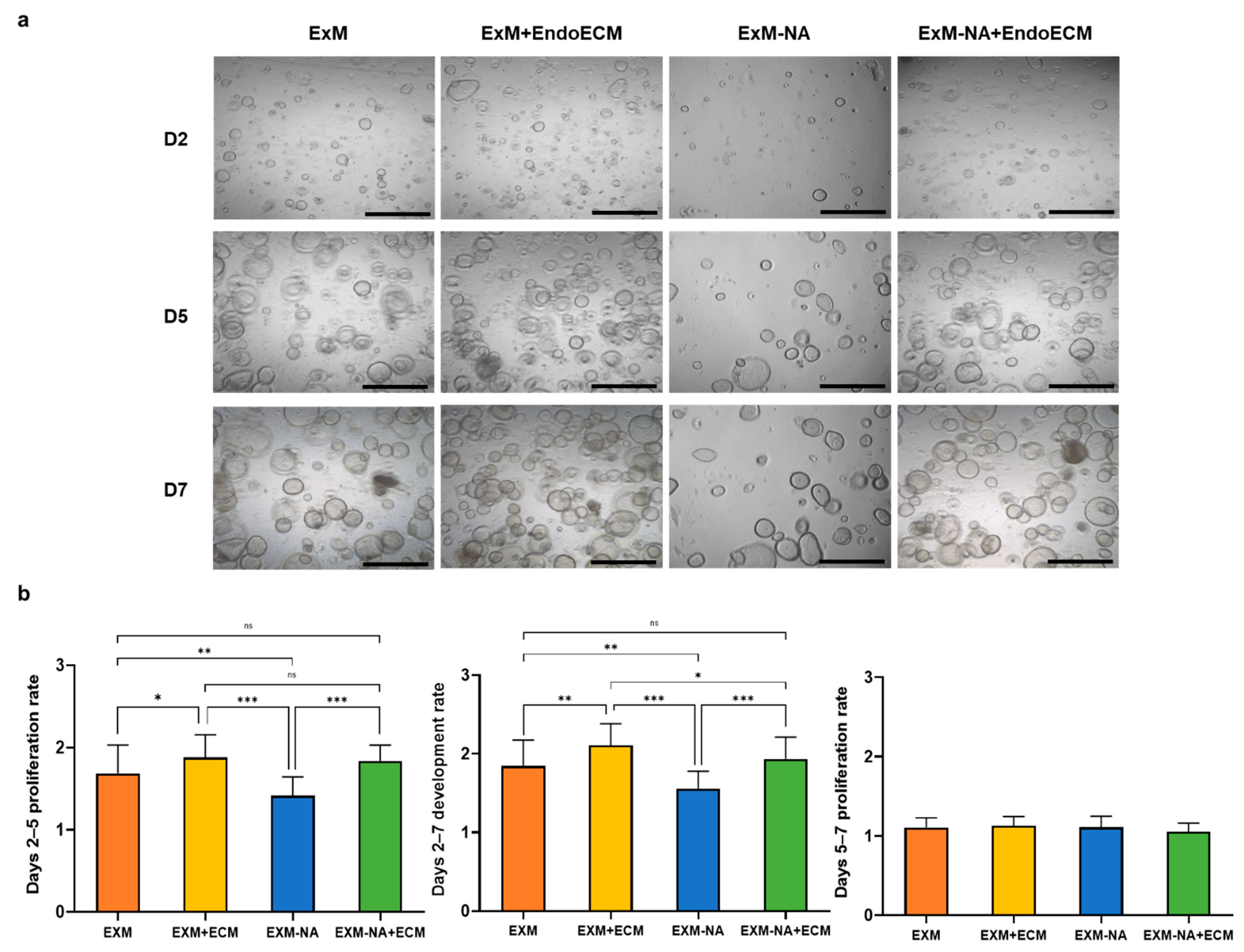 Jpm 11 00504 g005 Jpm 11 00504 g005