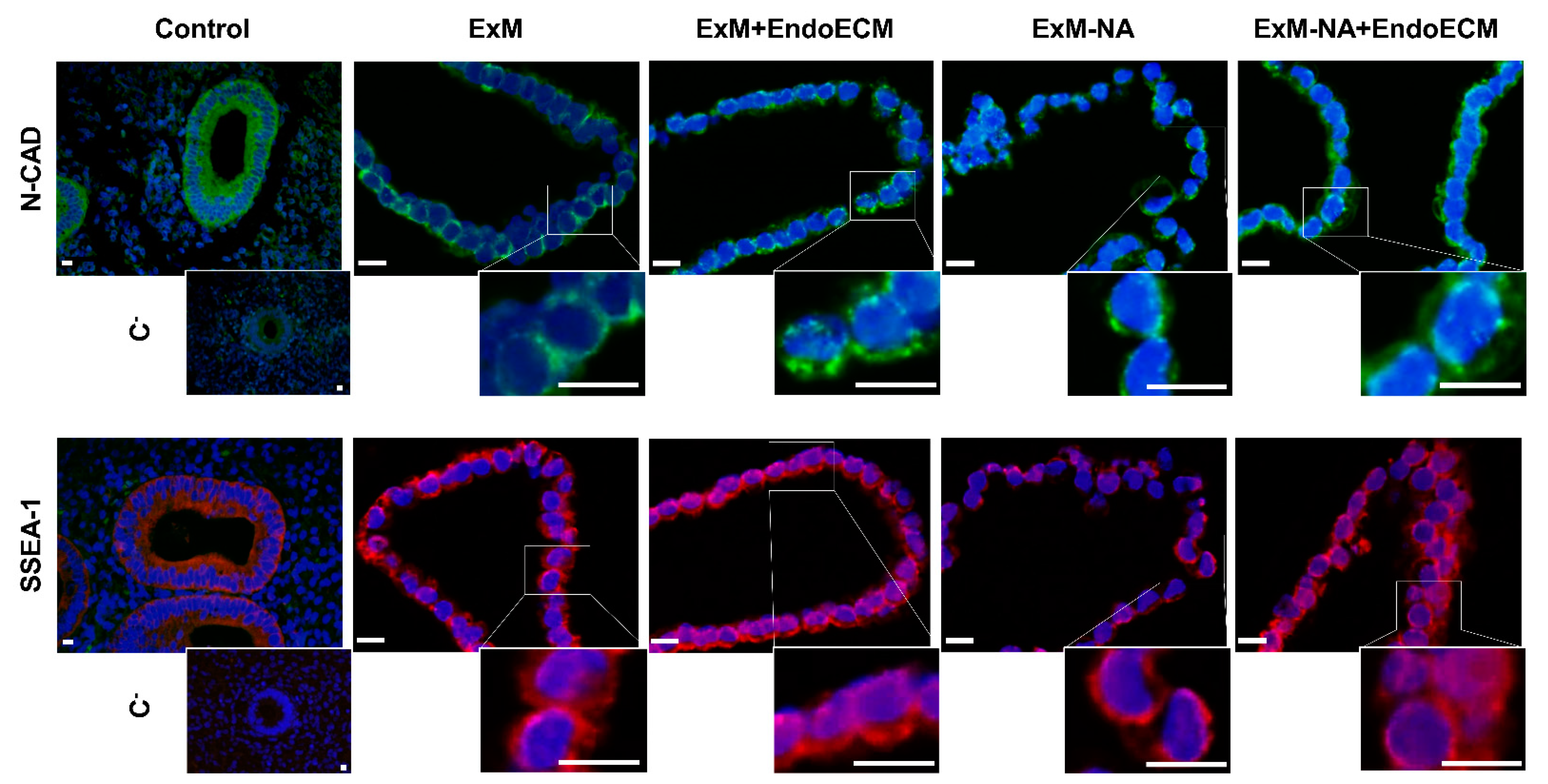Jpm 11 00504 g007 Jpm 11 00504 g007
