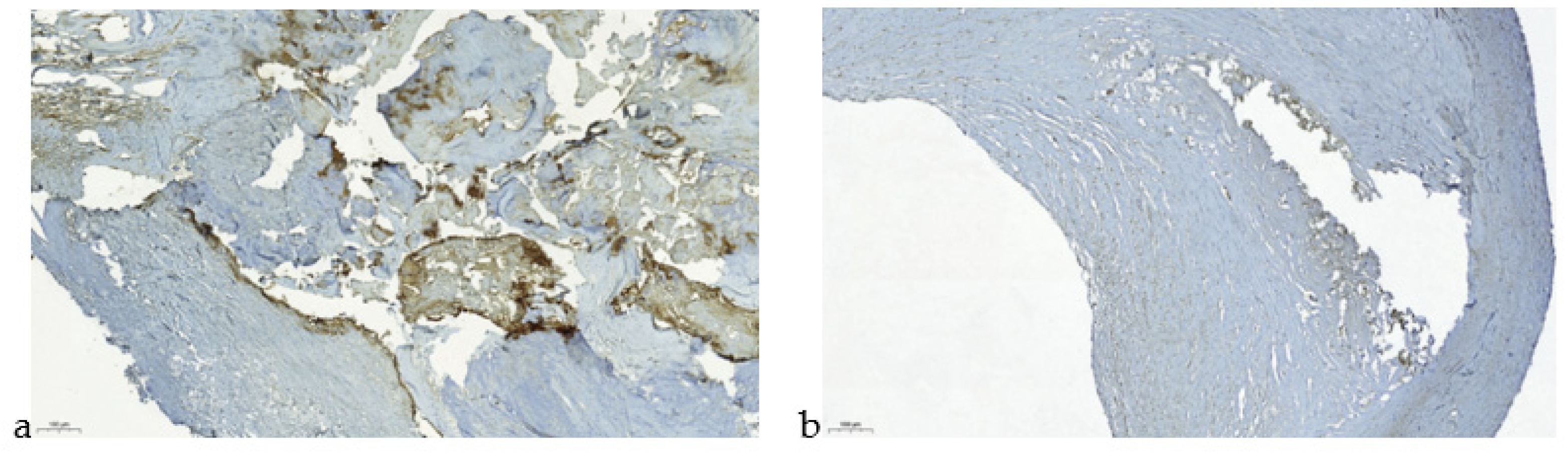 Jpm 11 00506 g003 Jpm 11 00506 g003