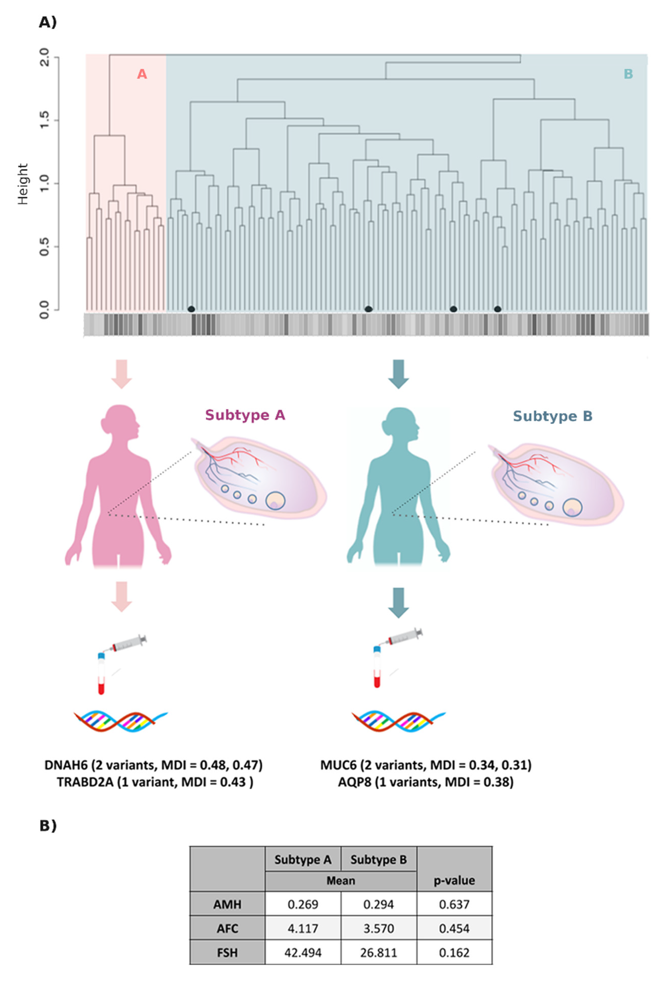 Jpm 11 00609 g003 Jpm 11 00609 g003