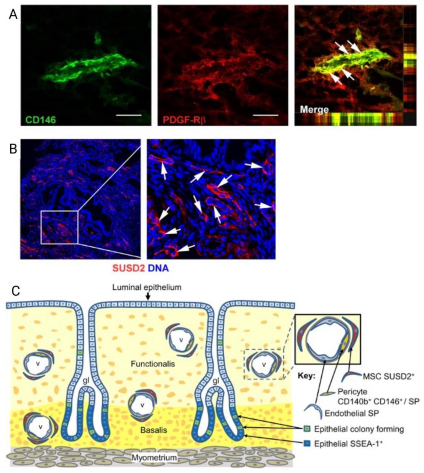 Jpm 11 00840 g005 Jpm 11 00840 g005