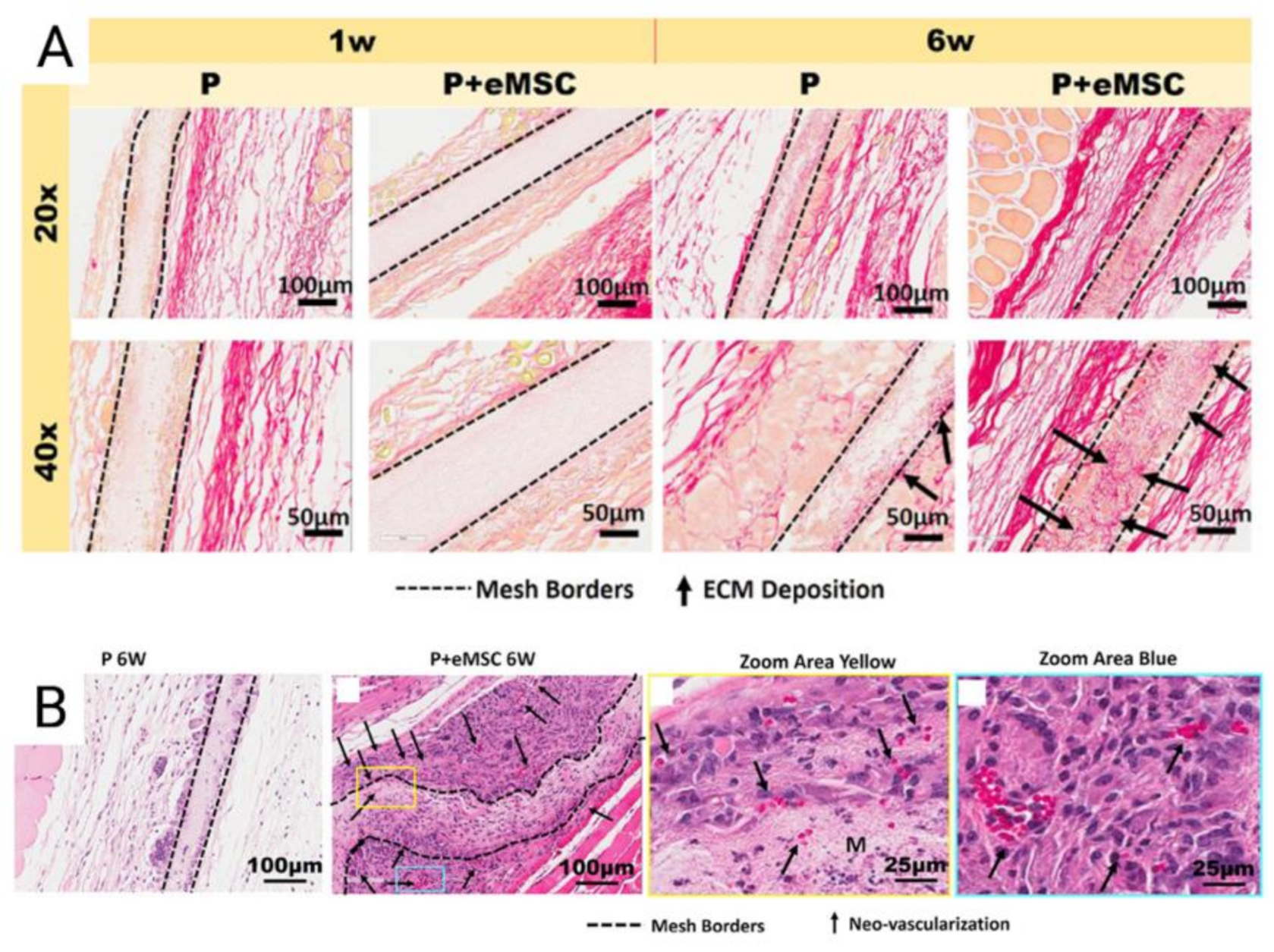 Jpm 11 00840 g006 Jpm 11 00840 g006