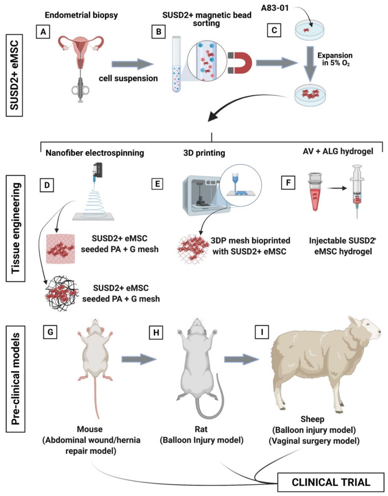 Jpm 11 00840 g009 Jpm 11 00840 g009