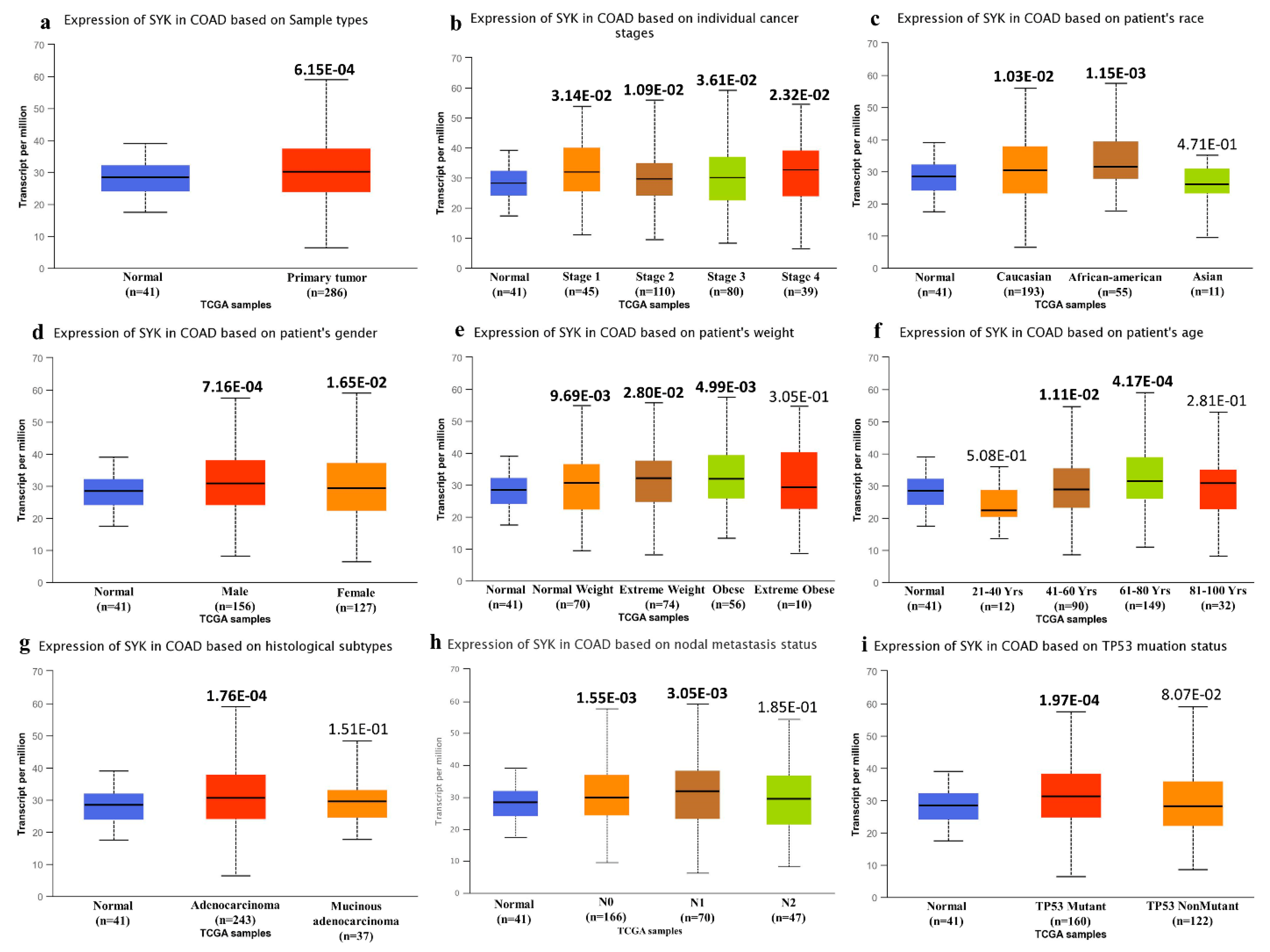 Jpm 11 00888 g002 Jpm 11 00888 g002