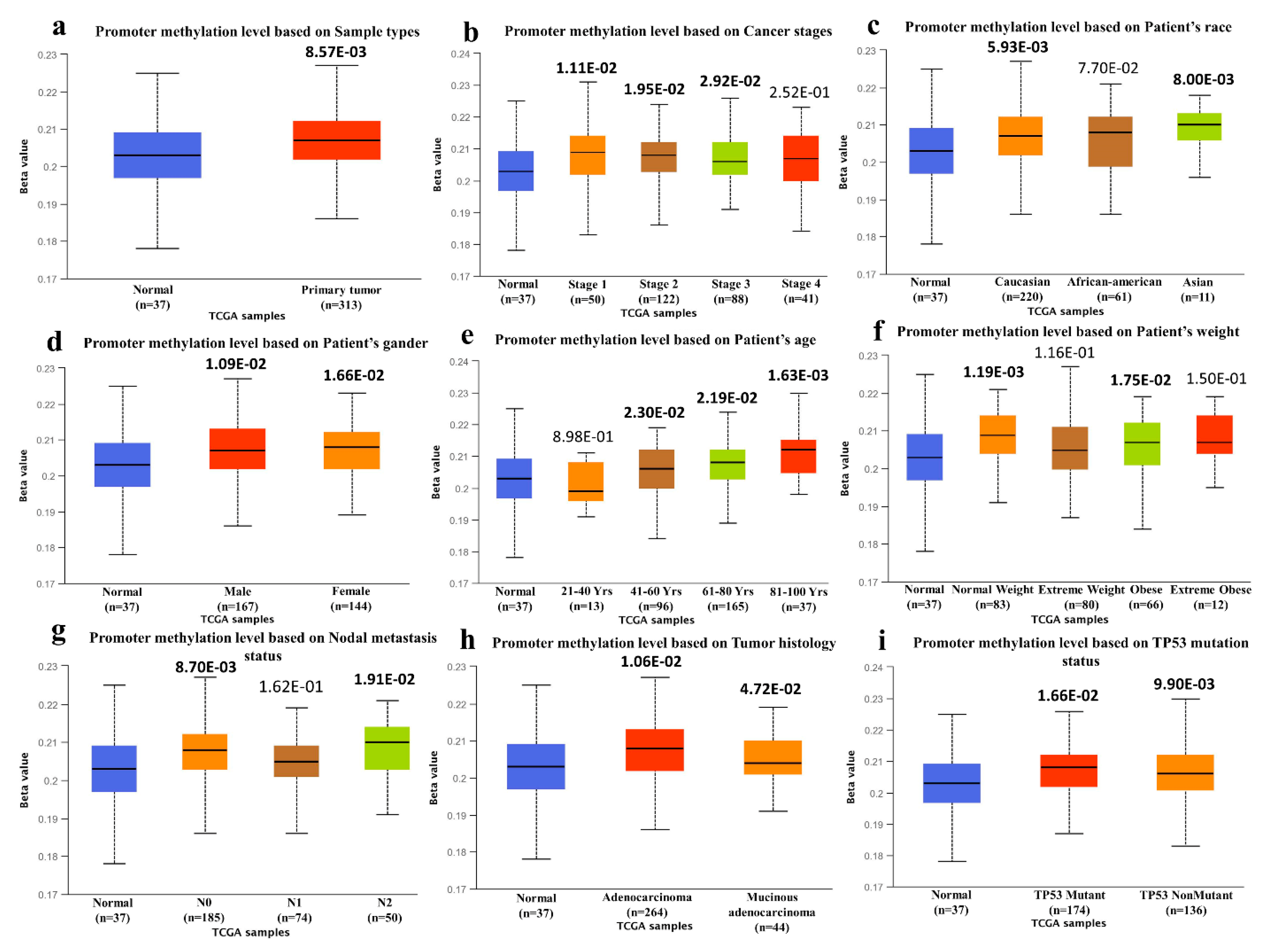 Jpm 11 00888 g004 Jpm 11 00888 g004