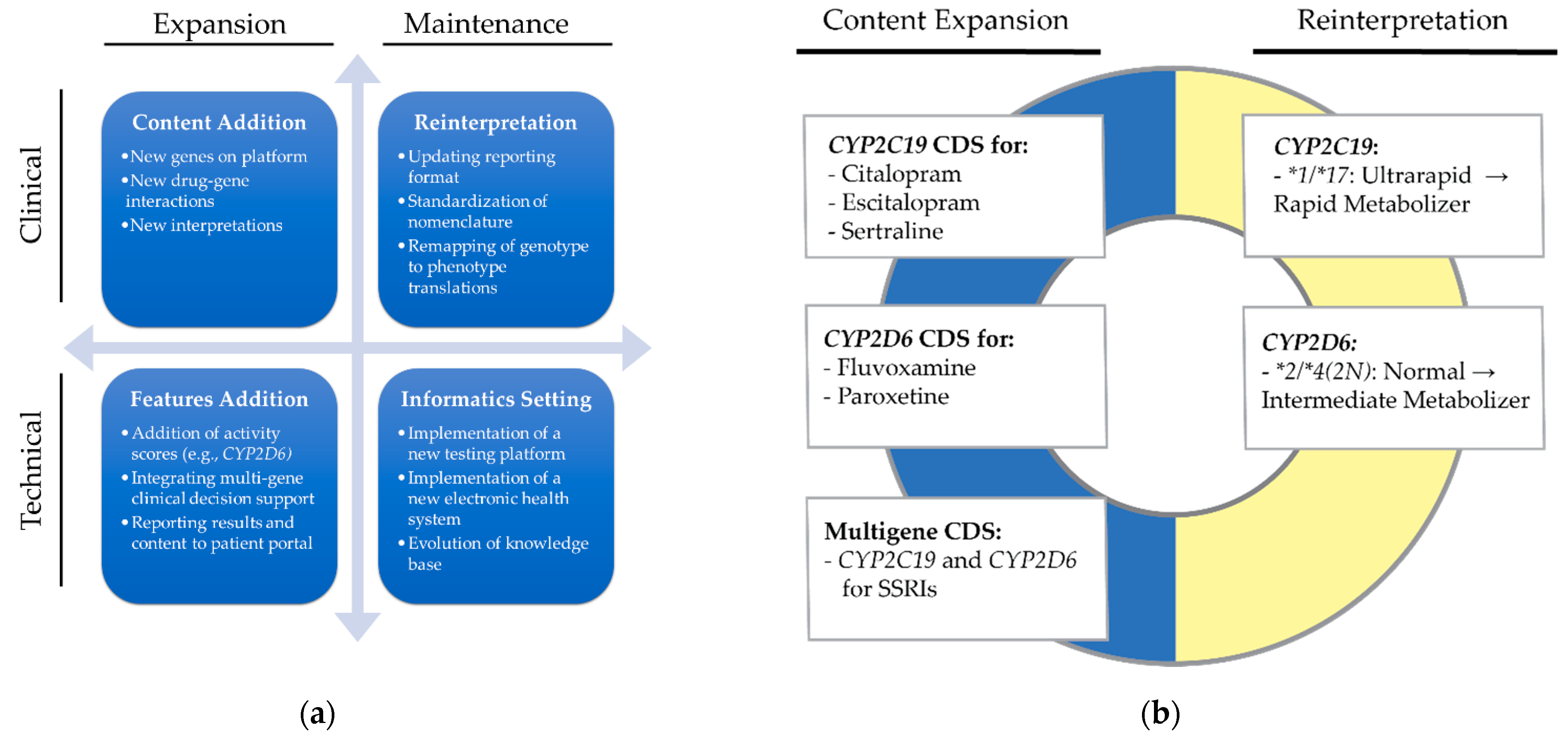 Jpm Free Full Text Impact Of Updating Pharmacogenetic Results Lessons Learned From The Predict Program Html