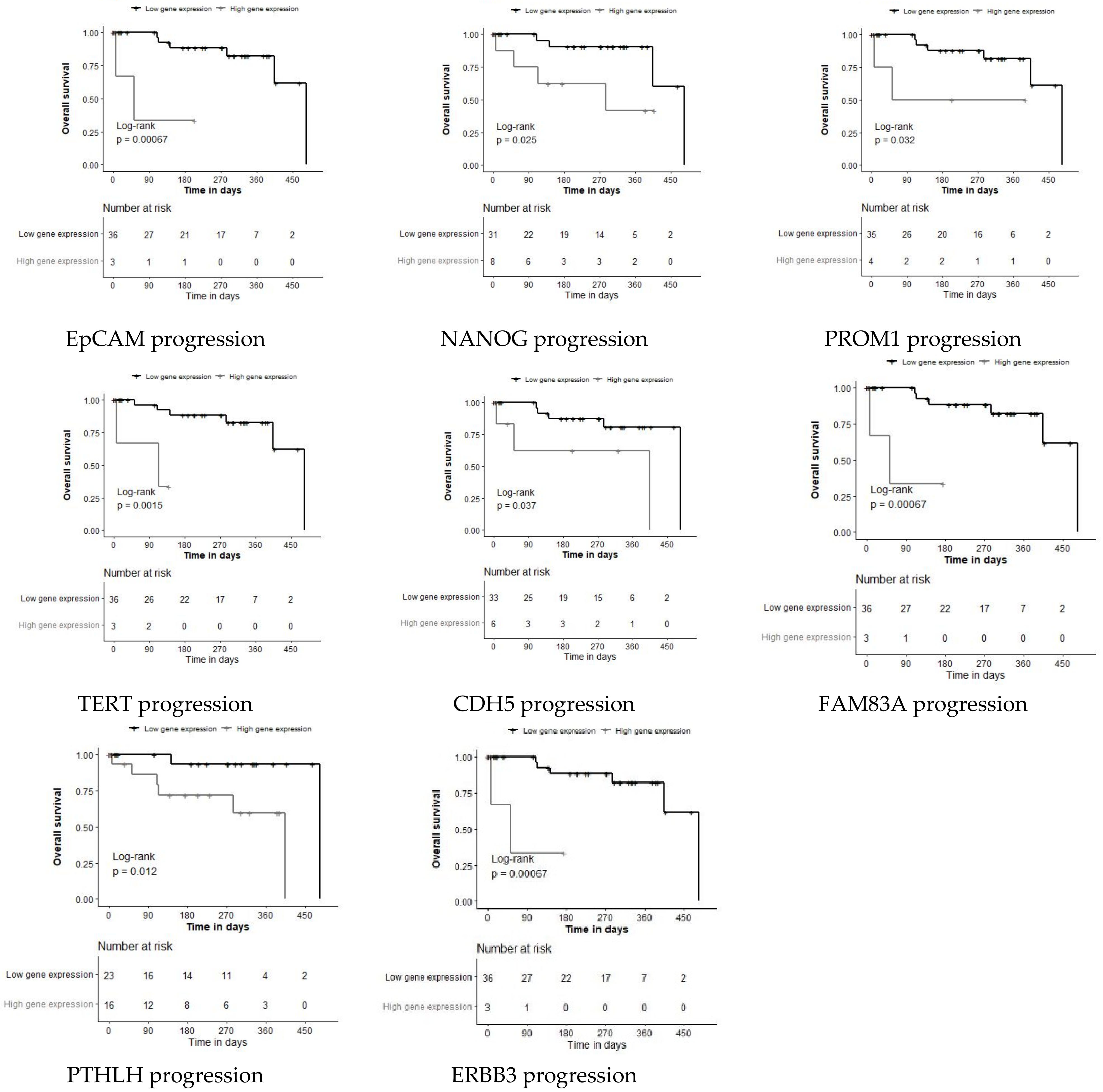 Triple Negative Breast Cancer 5-Year Survival Rate