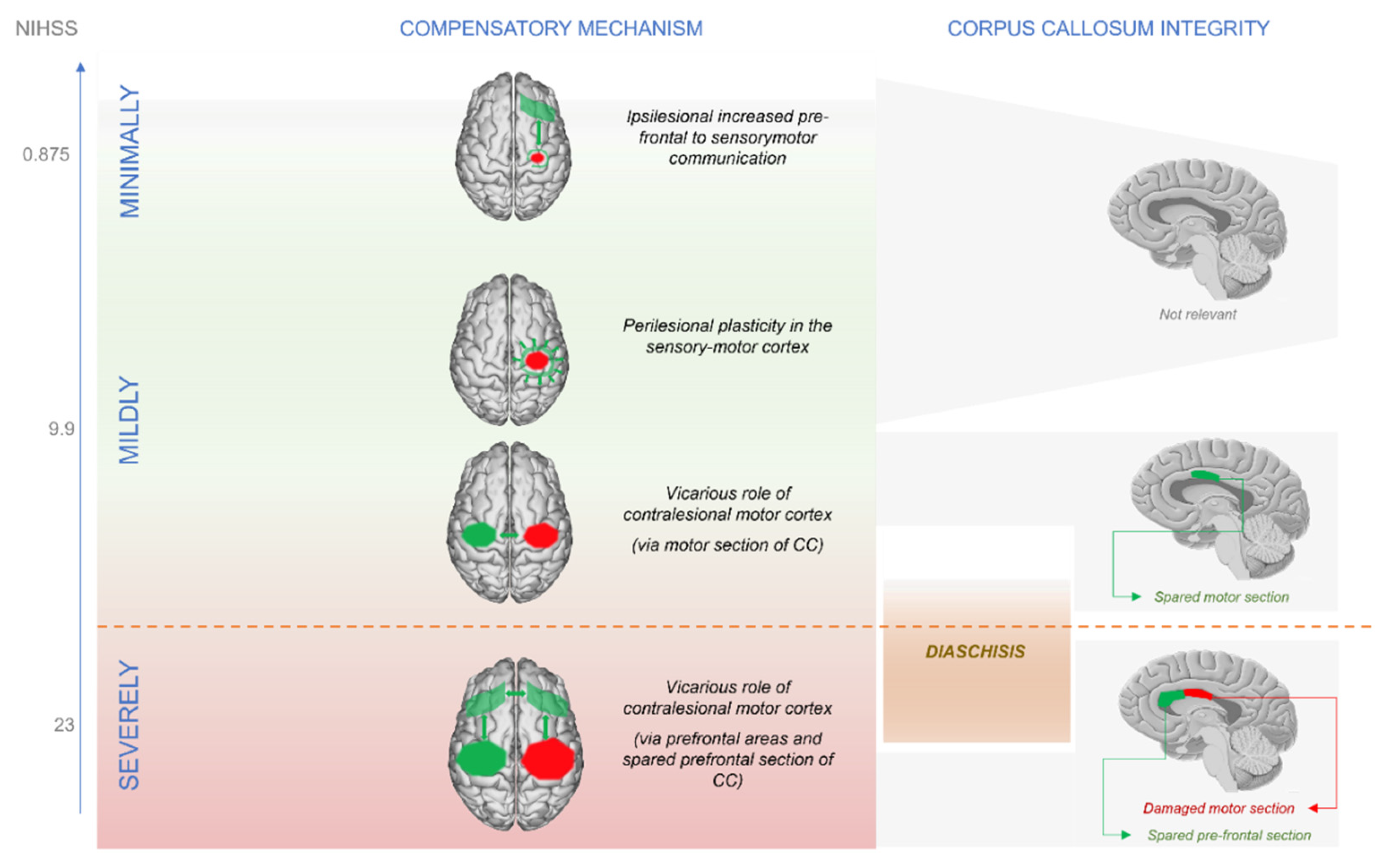 Frontiers  Toward personalized circuit-based closed-loop brain