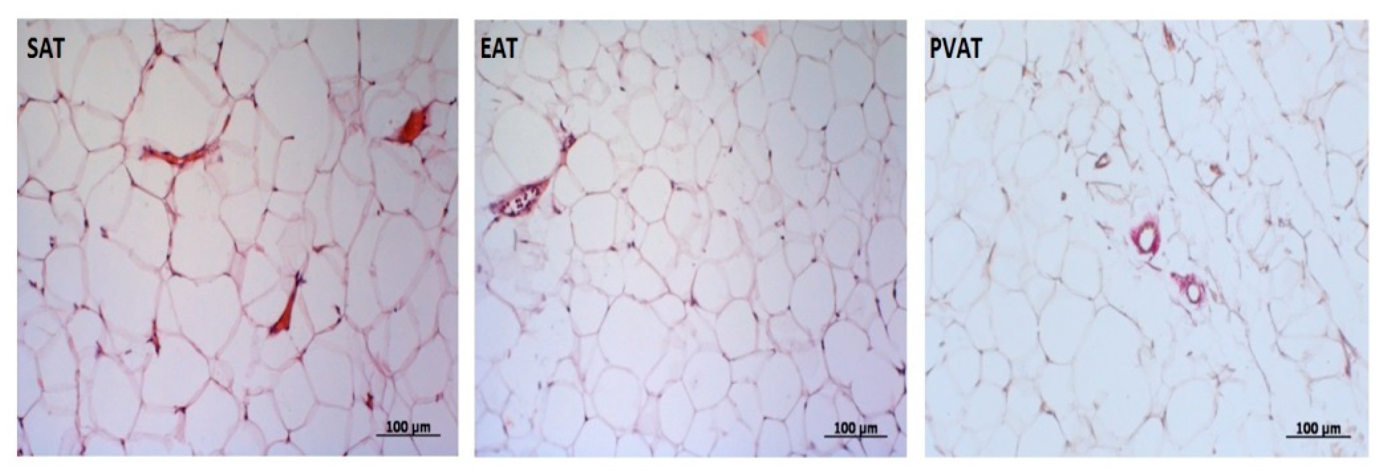 Jpm 12 00129 g002 Jpm 12 00129 g002